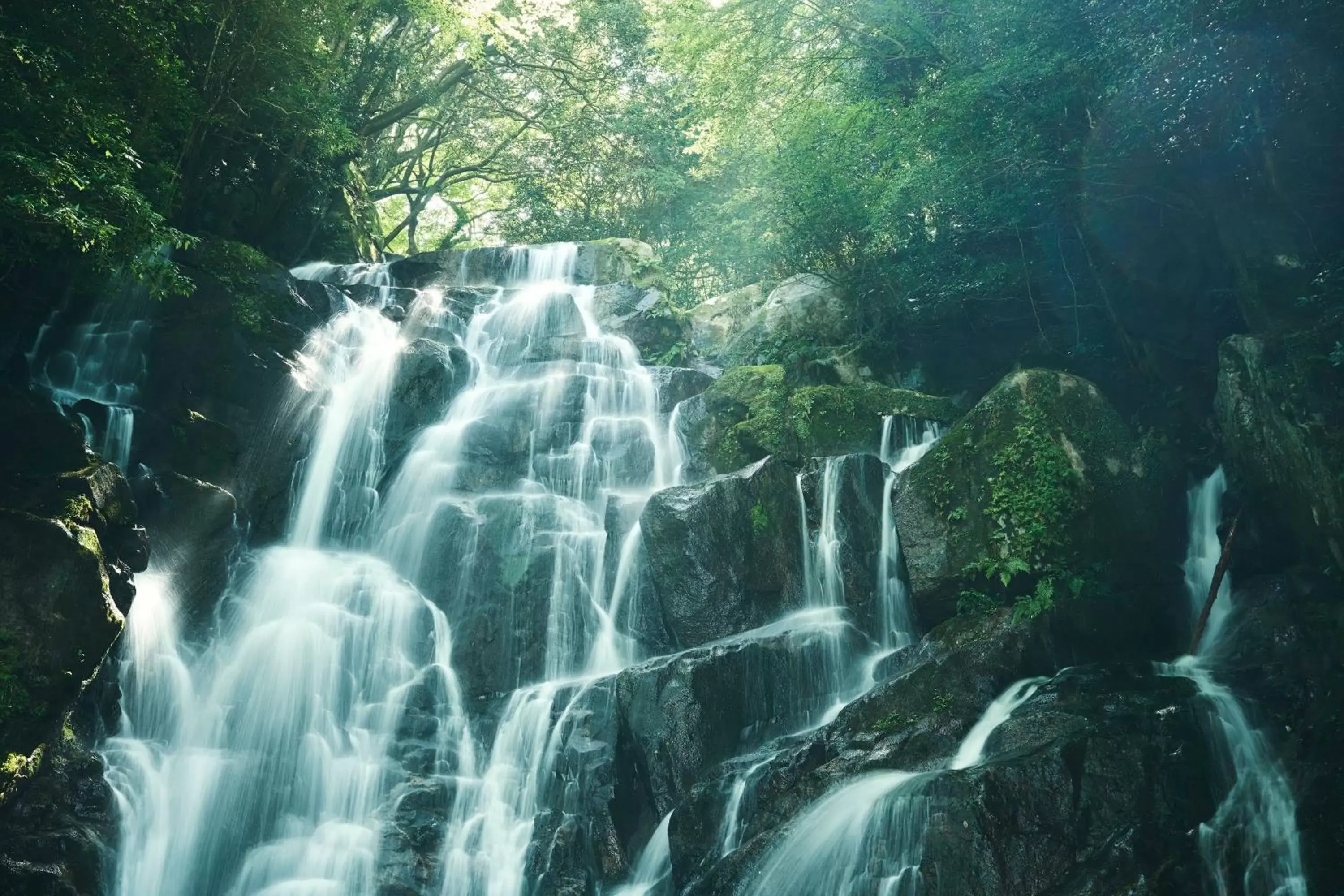 Nearby landmark, Natural Landscape in Hotel Torifito Hakata Gion