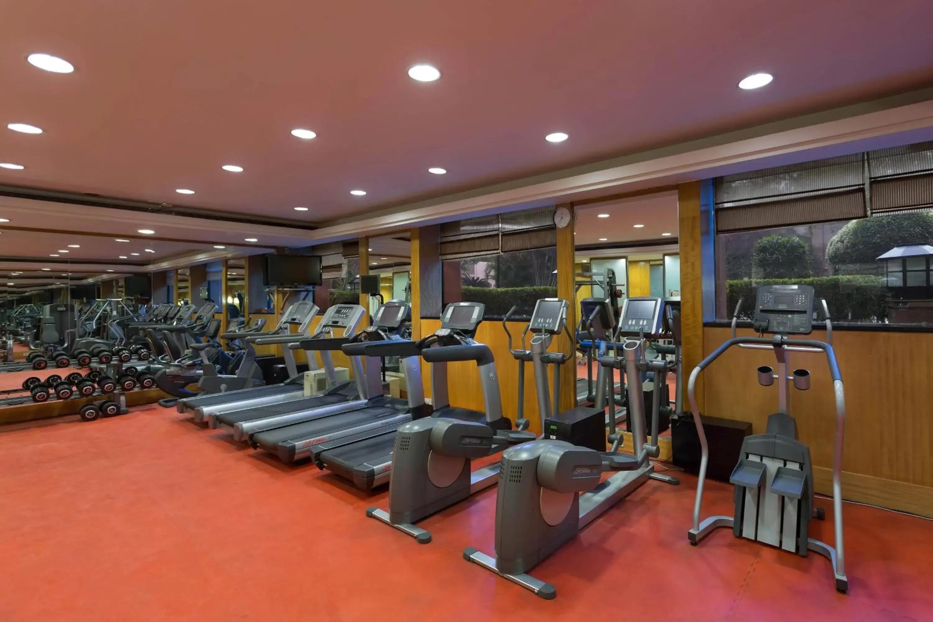 Fitness centre/facilities, Fitness Center/Facilities in Sheraton New Delhi Hotel