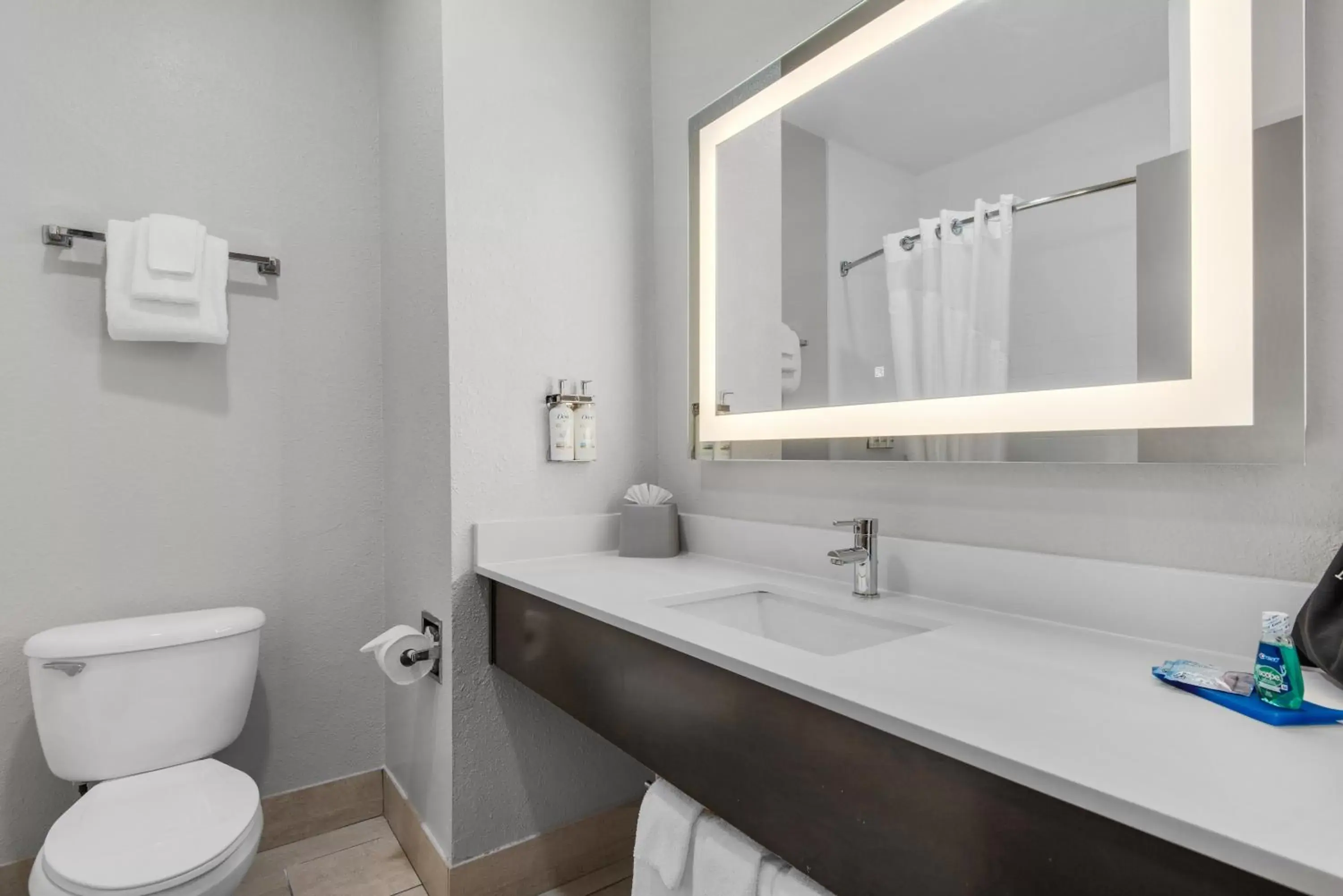 Toilet, Bathroom in Holiday Inn Express Destin E - Commons Mall Area, an IHG Hotel