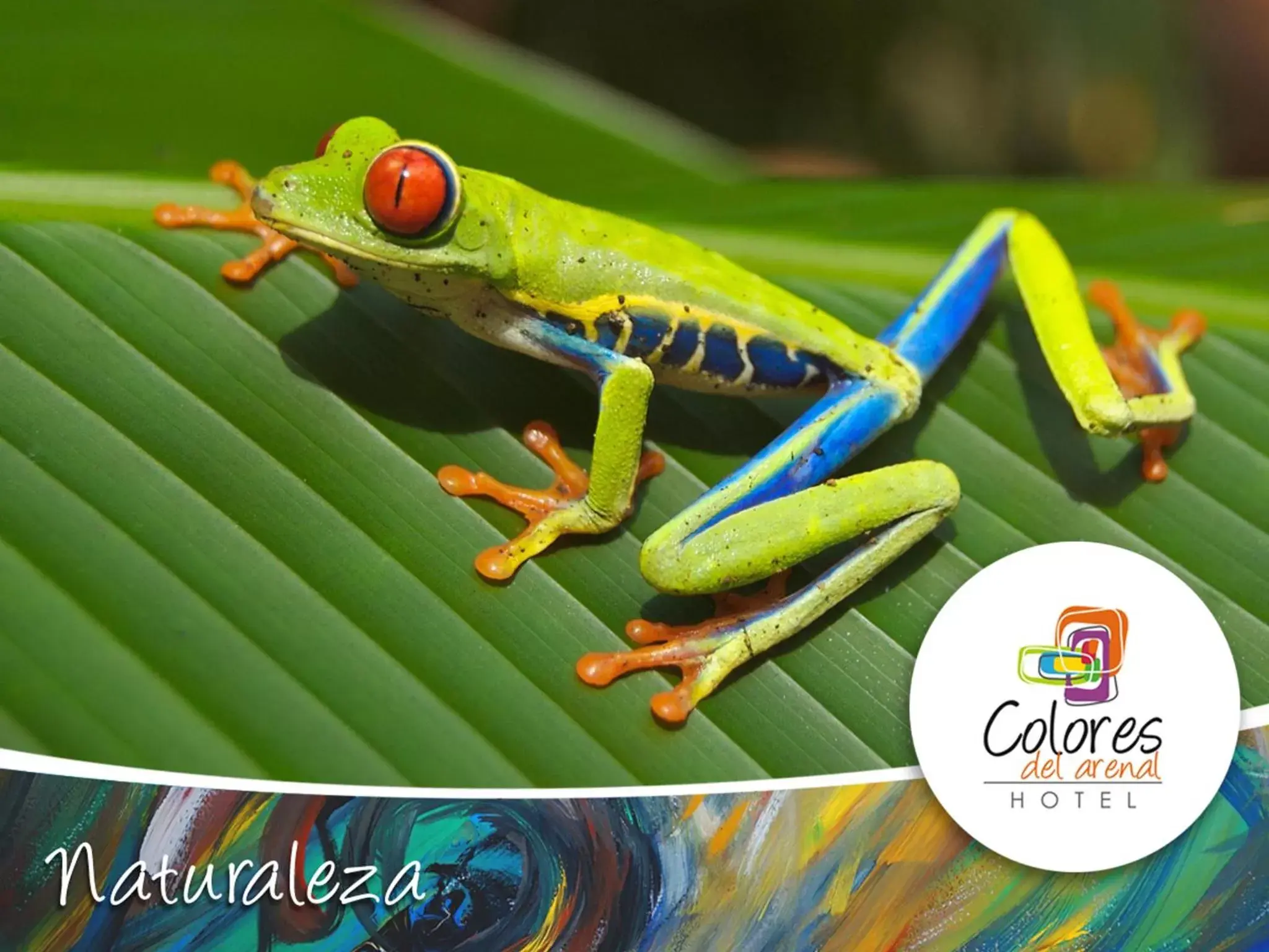 Text overlay, Other Animals in Hotel Colores del Arenal