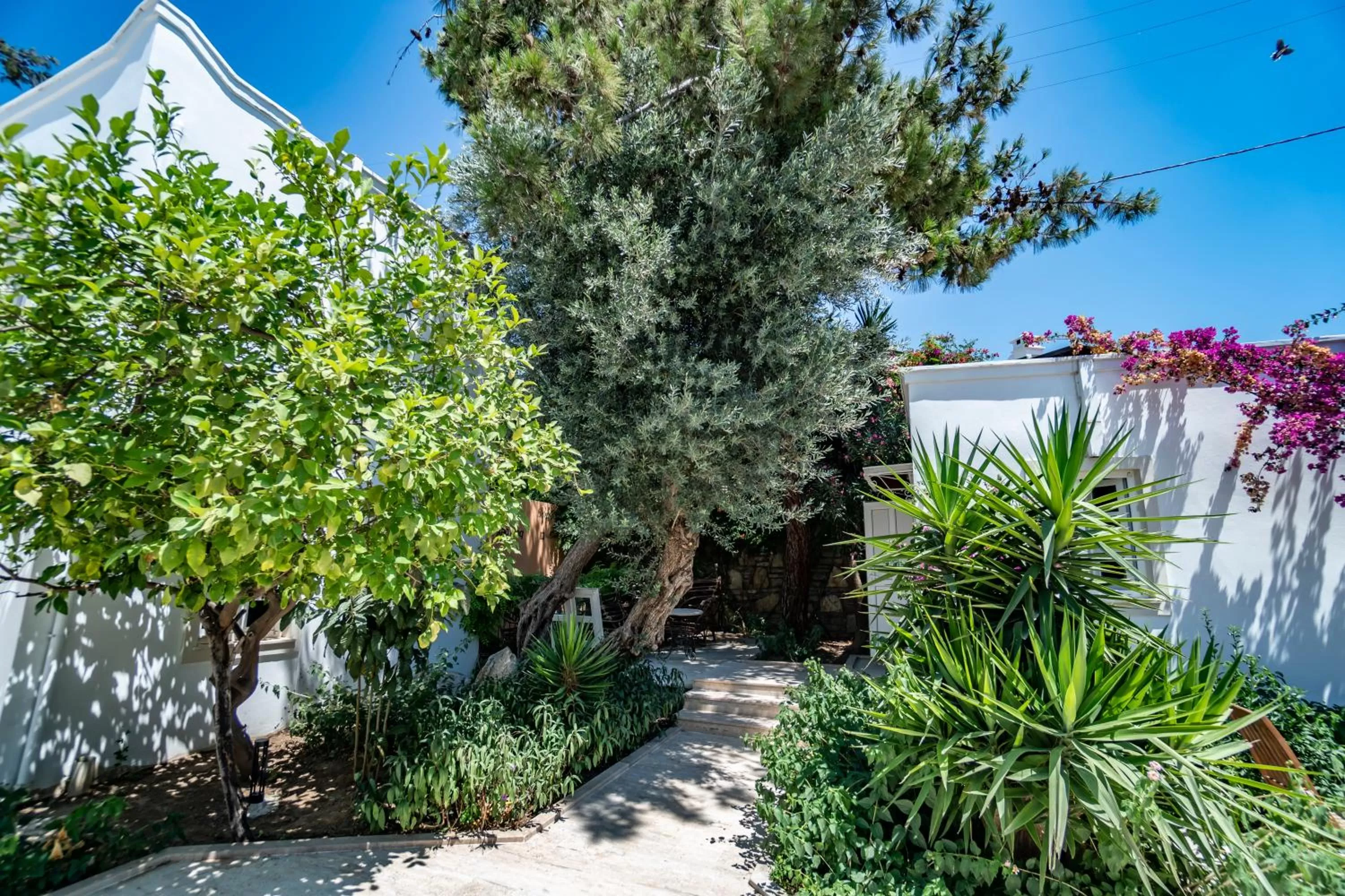 Garden in Manzara Boutique Hotel - Adults Only