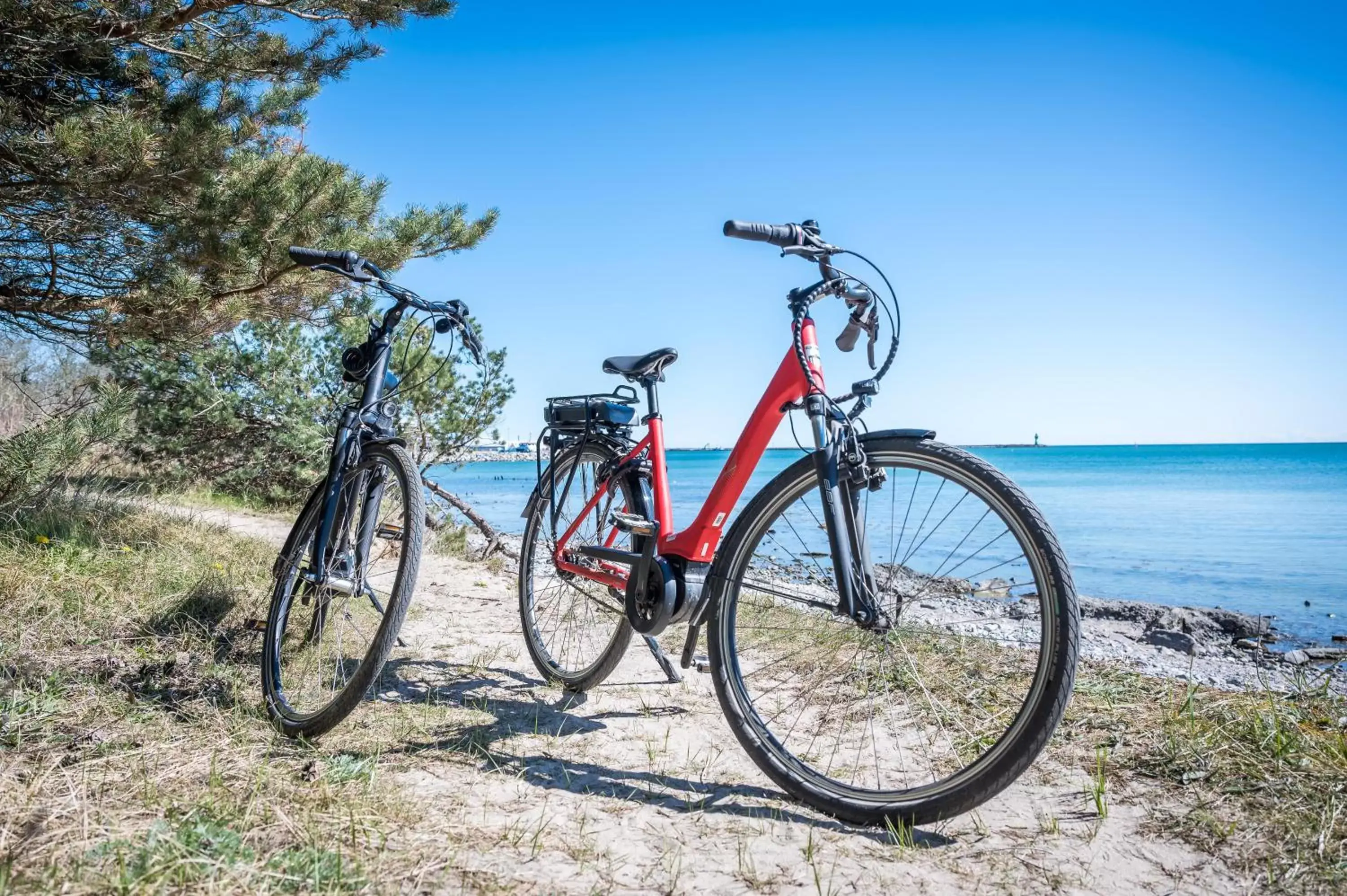 Activities, Biking in Hotel Mukran