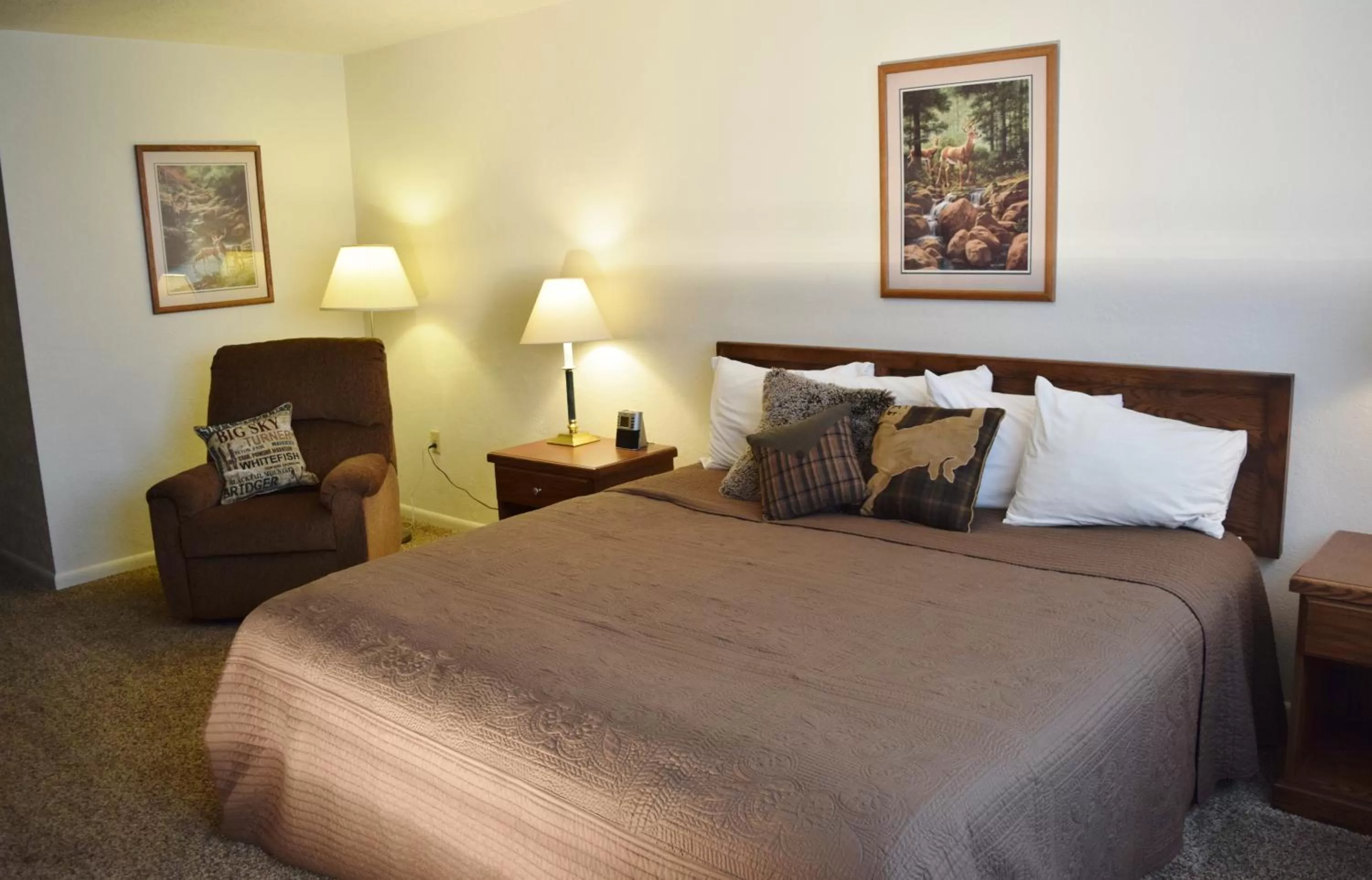 Photo of the whole room, Bed in Venture Inn