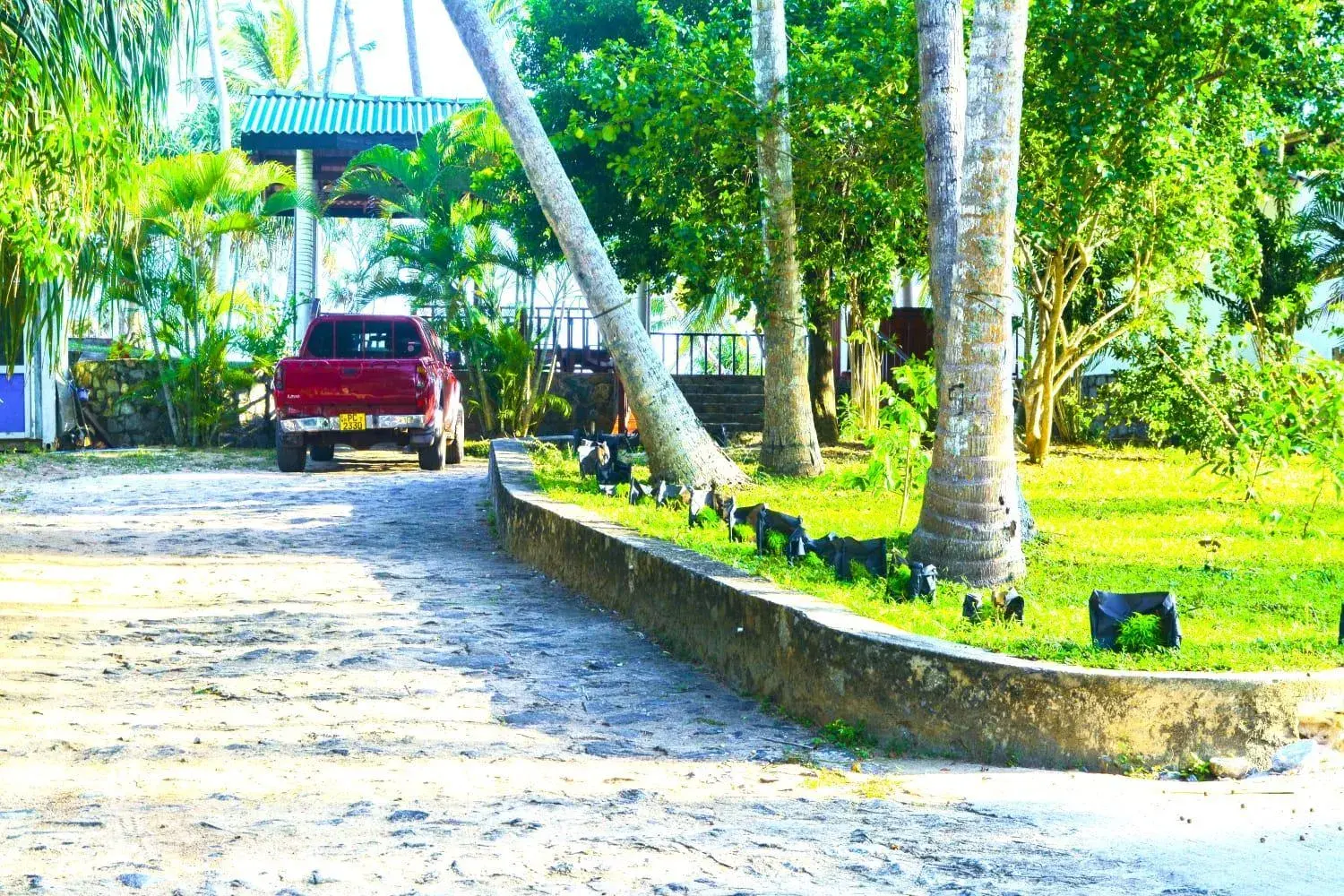 Garden in Helios Beach Resort