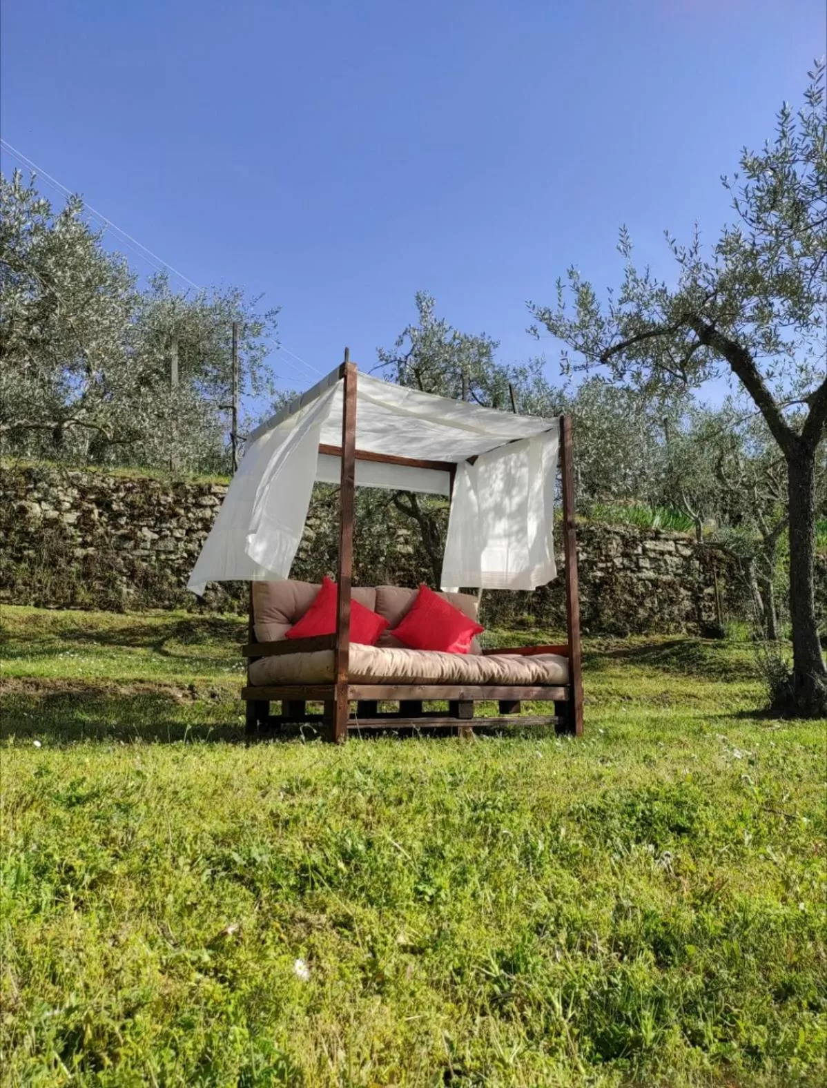 Garden in La Casa tra Gli Ulivi Cottage House