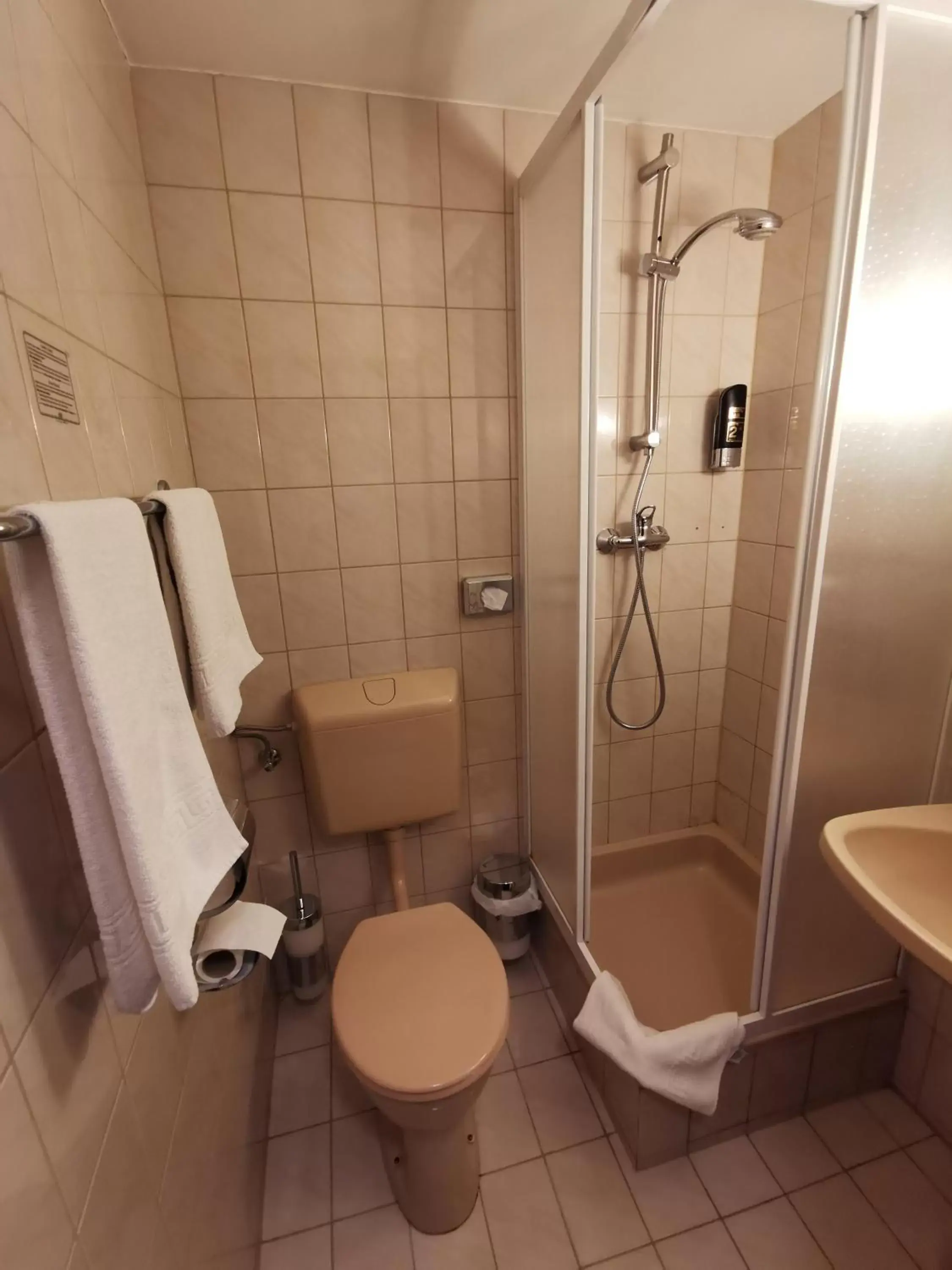 Shower, Bathroom in Hotel Bajazzo