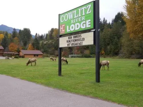 Property building in Cowlitz River Lodge