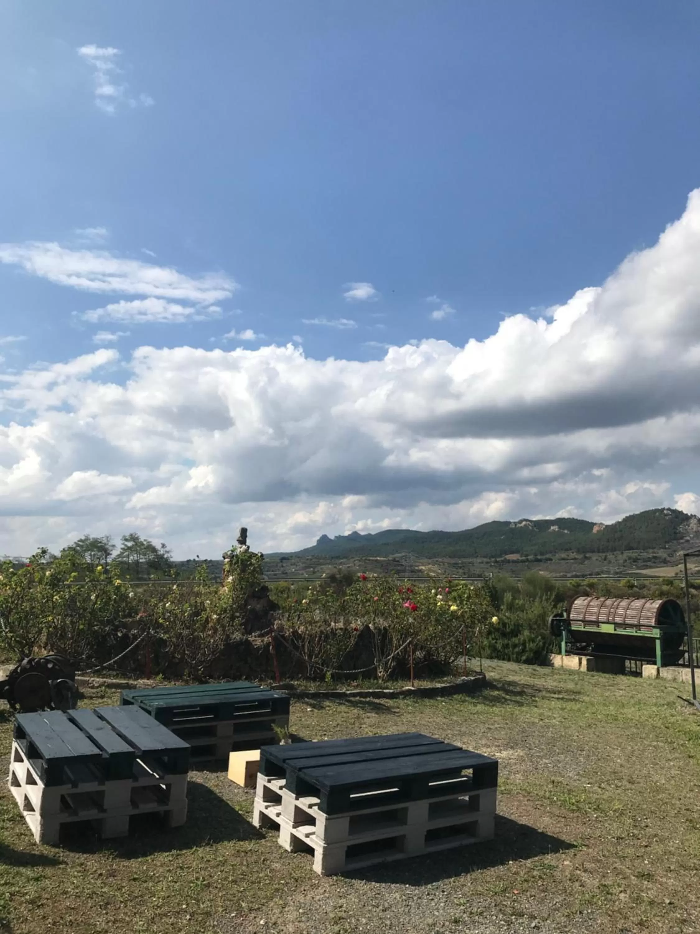 Garden in Portal De La Rioja