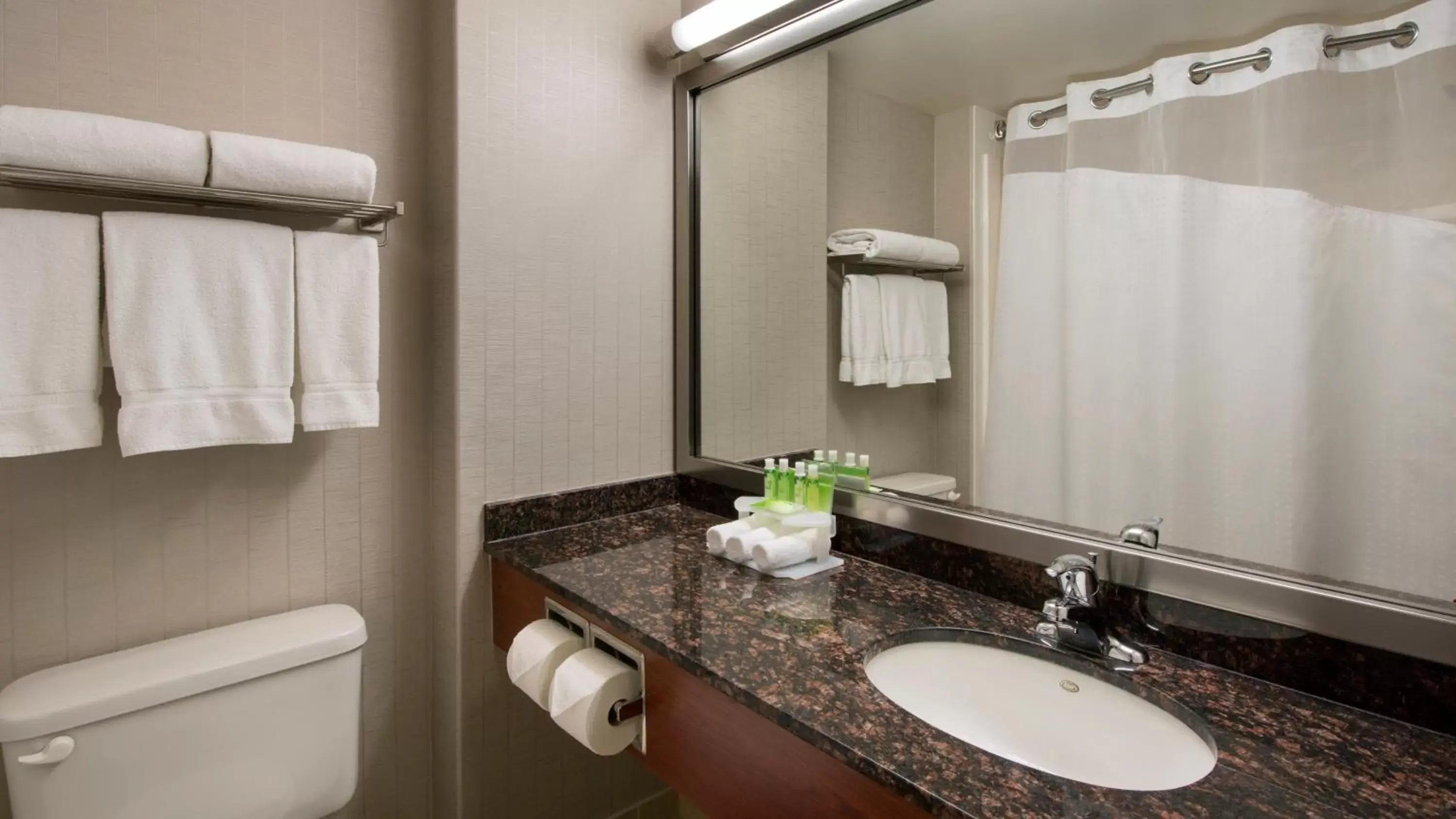 Bathroom in Holiday Inn Express Hotel & Suites Sherwood Park-Edmonton Area, an IHG Hotel