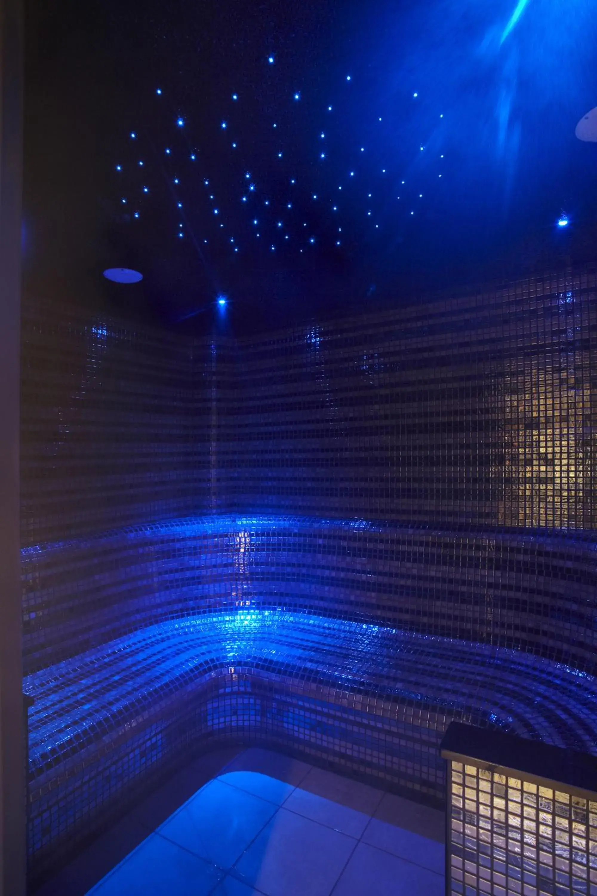 Steam room in The Greenway Hotel & Spa