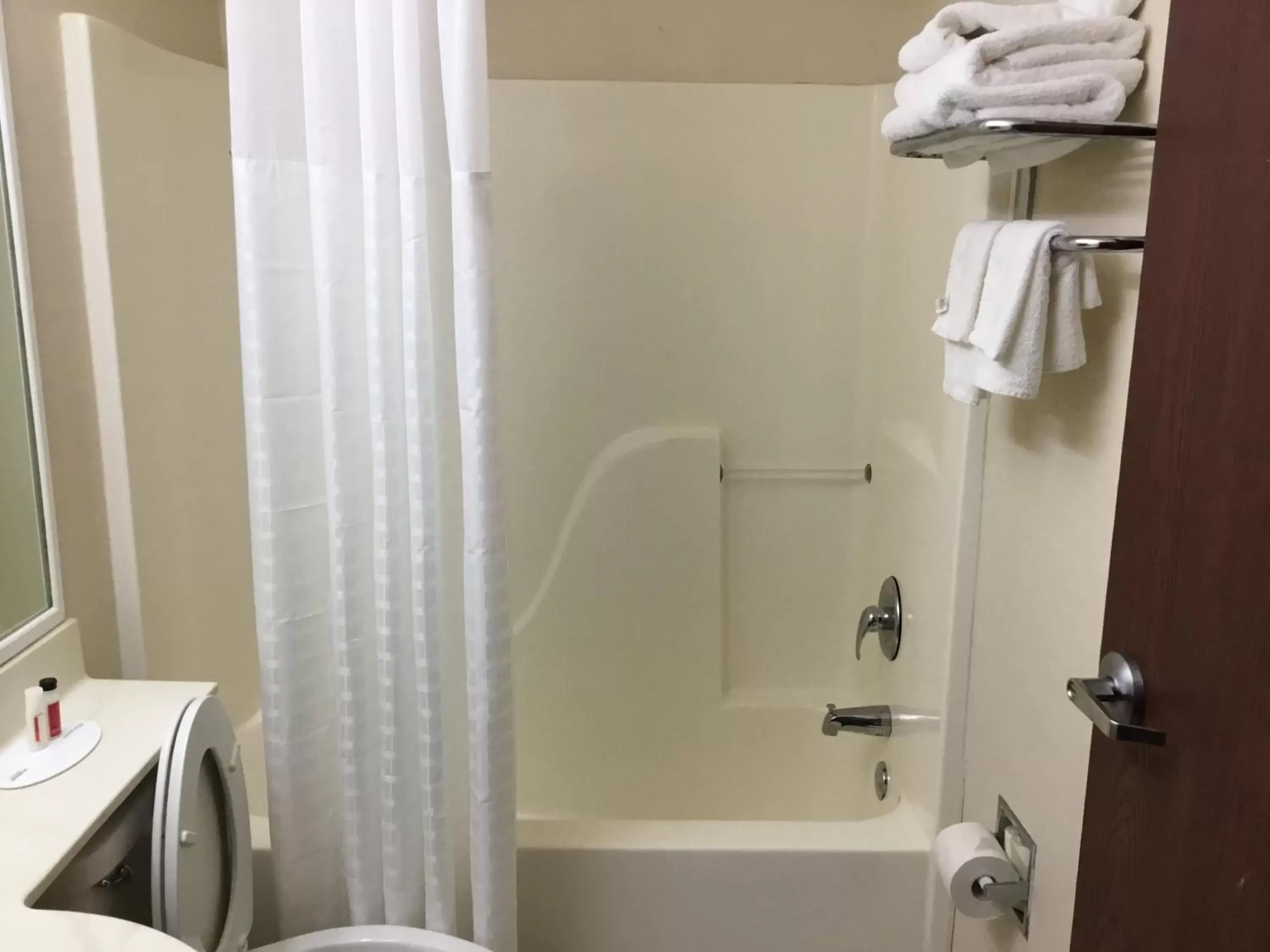Bathroom in Microtel Inn & Suites by Wyndham Augusta/Riverwatch