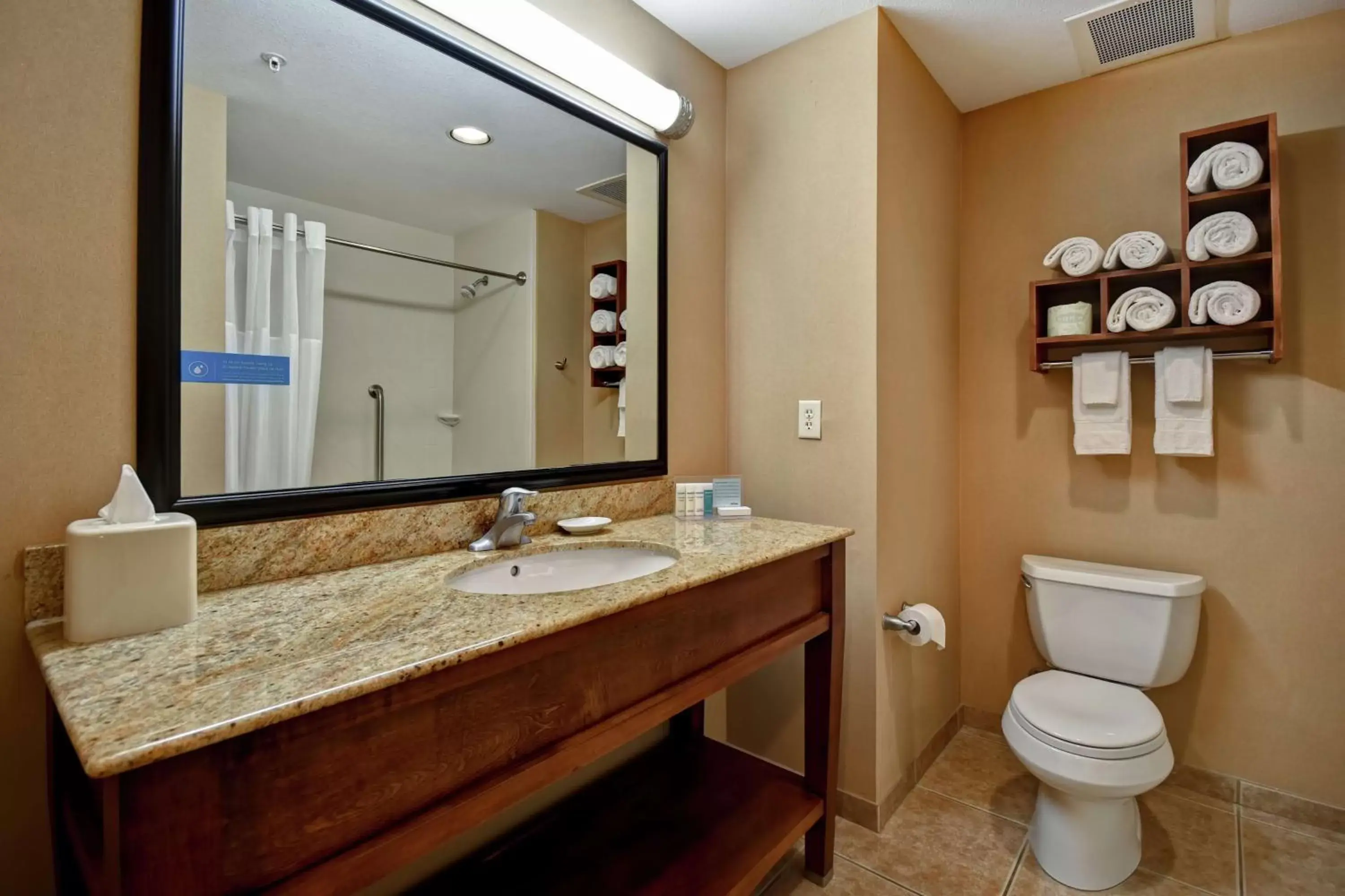 Bathroom in Hampton Inn & Suites Folsom
