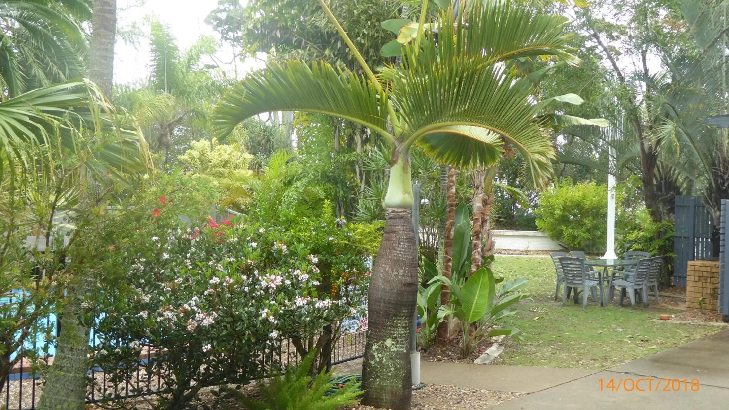 Garden view, Garden in Tower Court Motel