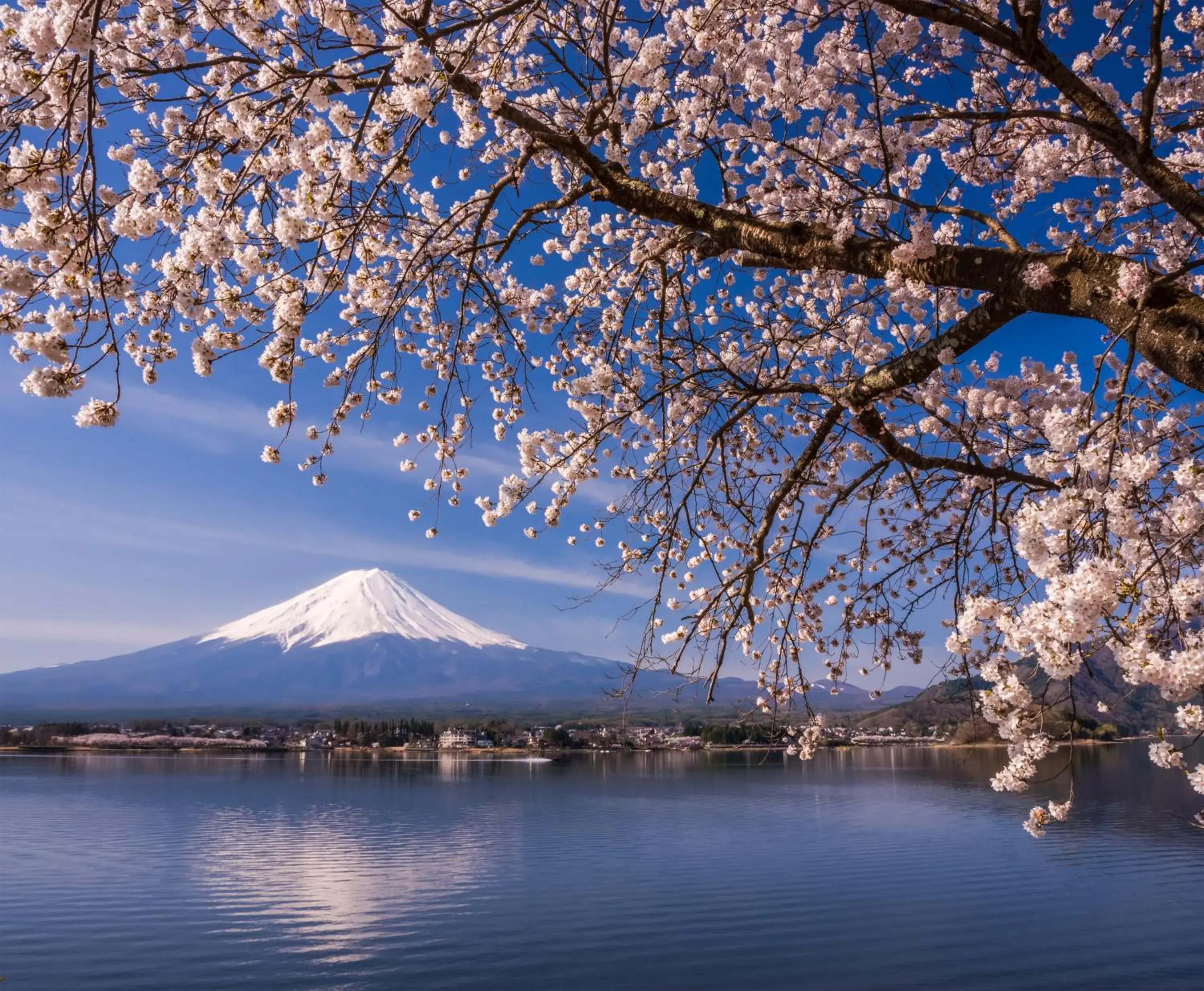 Natural landscape in HOTEL MYSTAYS Fuji Onsen Resort