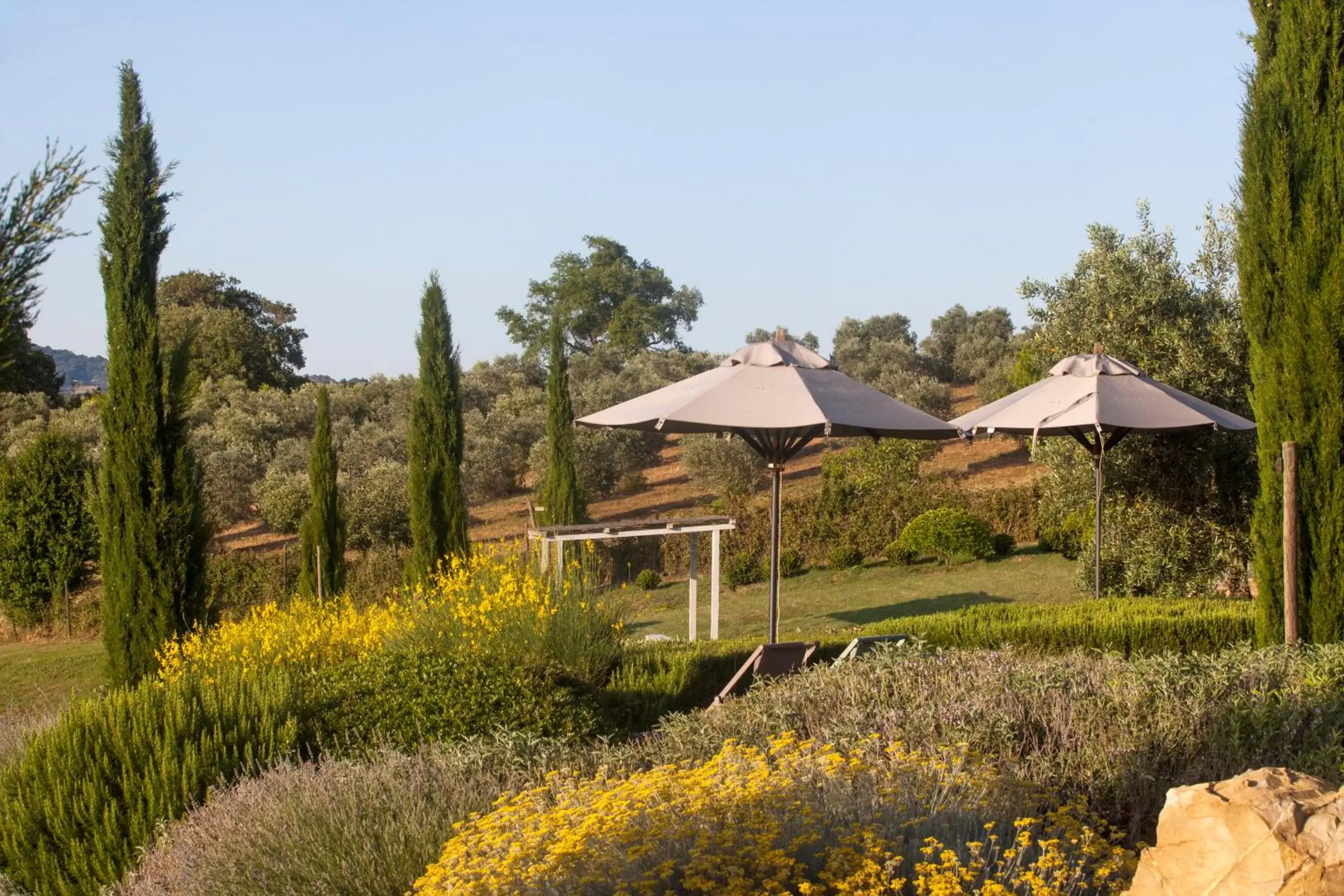 Garden view in Casale Sterpeti