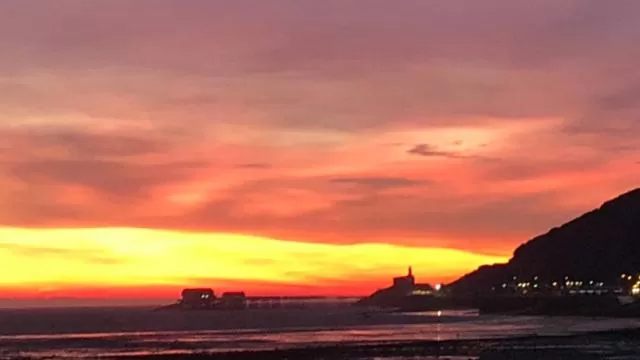 Natural landscape in Patricks Boathouse