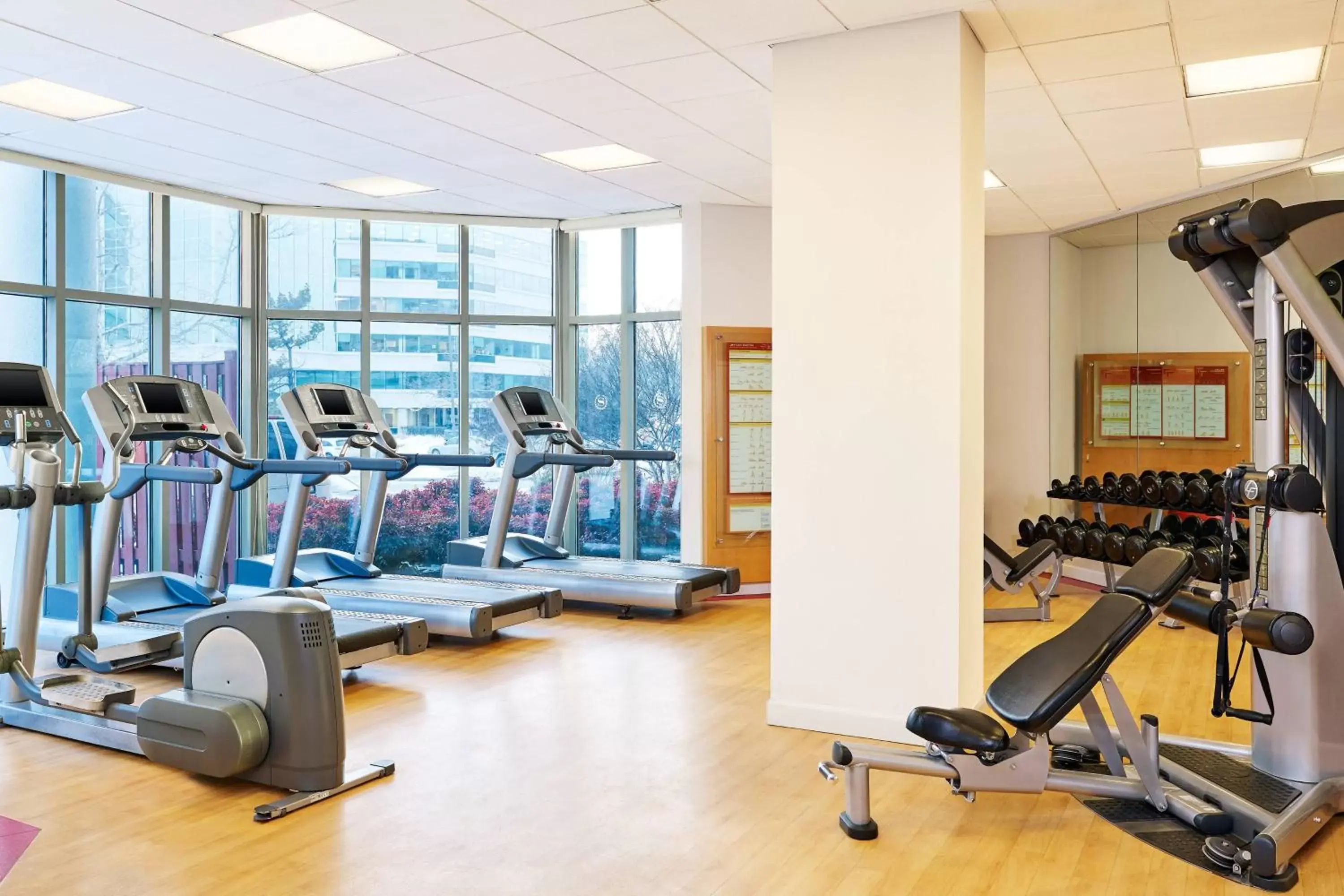 Fitness centre/facilities, Fitness Center/Facilities in Wyndham College Park North / Washington DC Area