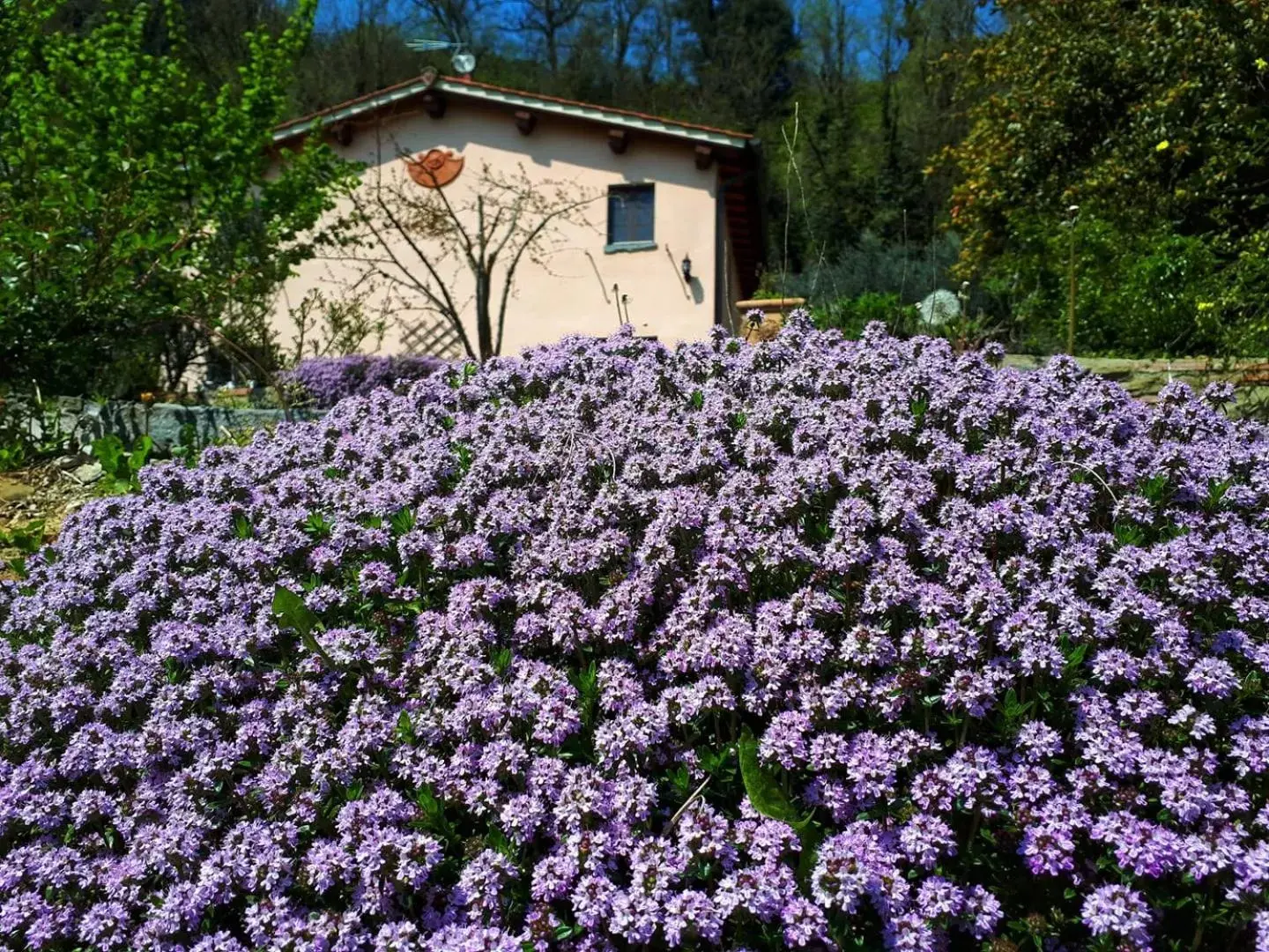 Spring, Property Building in A'Loro B&B