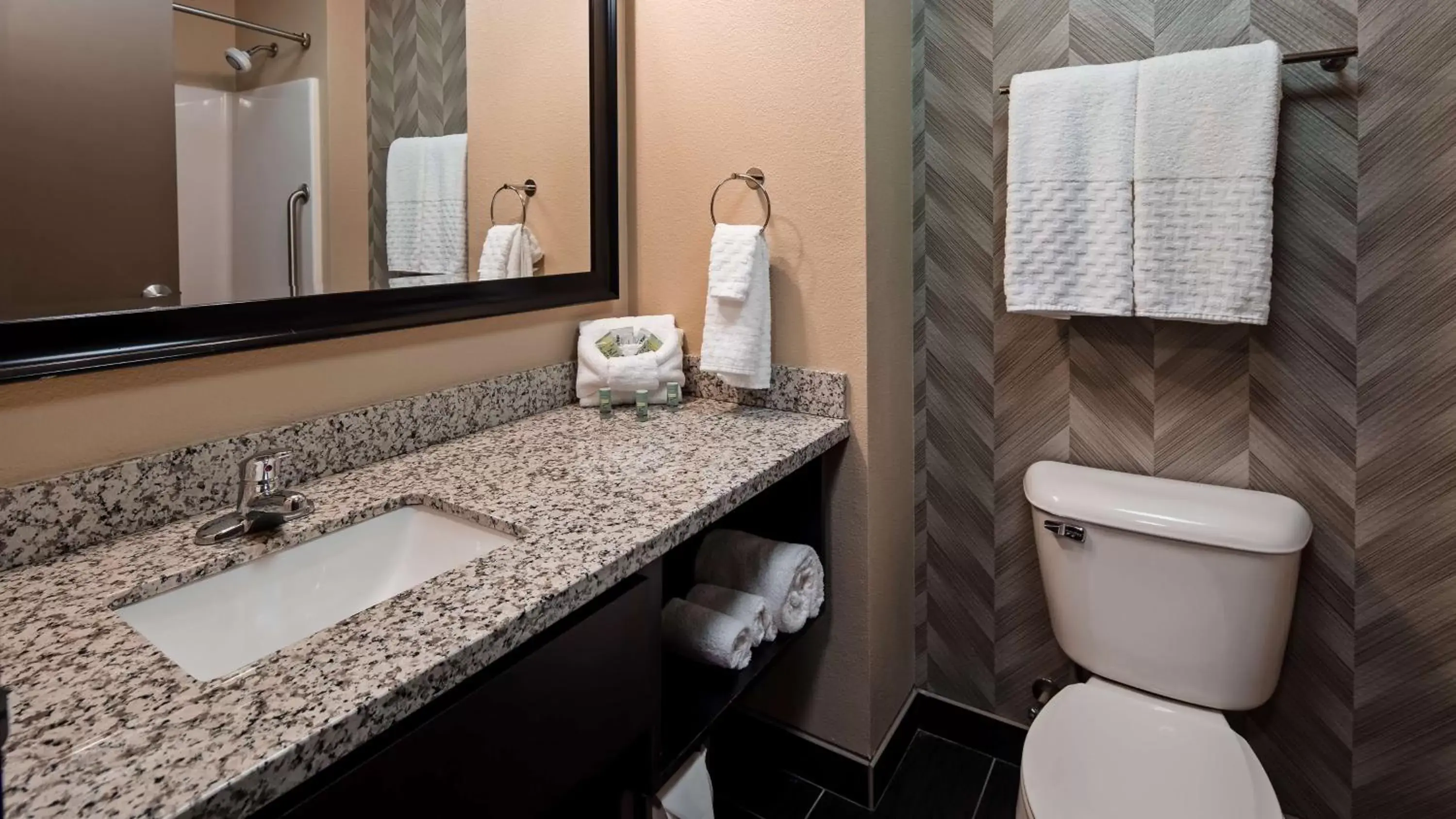 Bathroom in Best Western Roosevelt Place