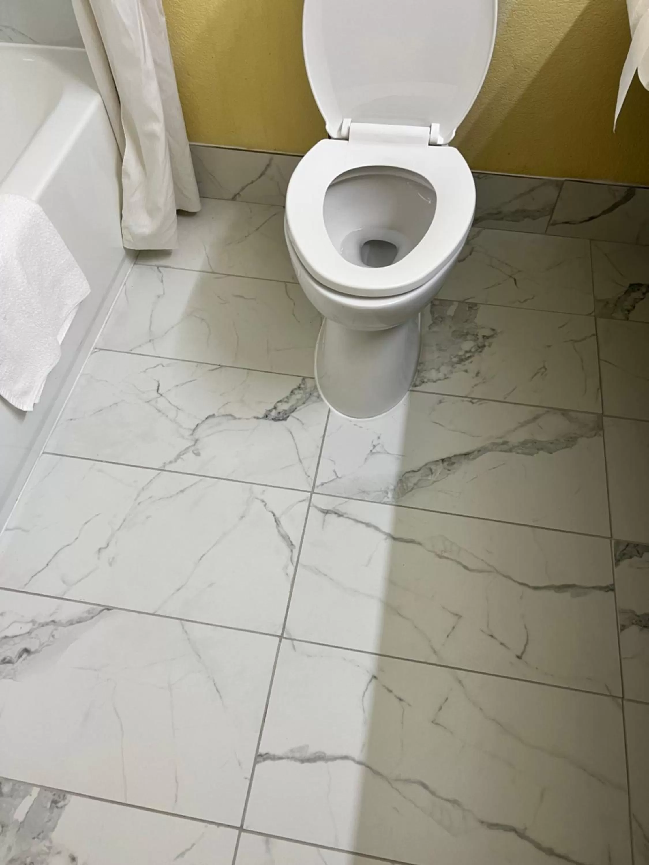 Toilet in Days Inn by Wyndham Mauldin/Greenville