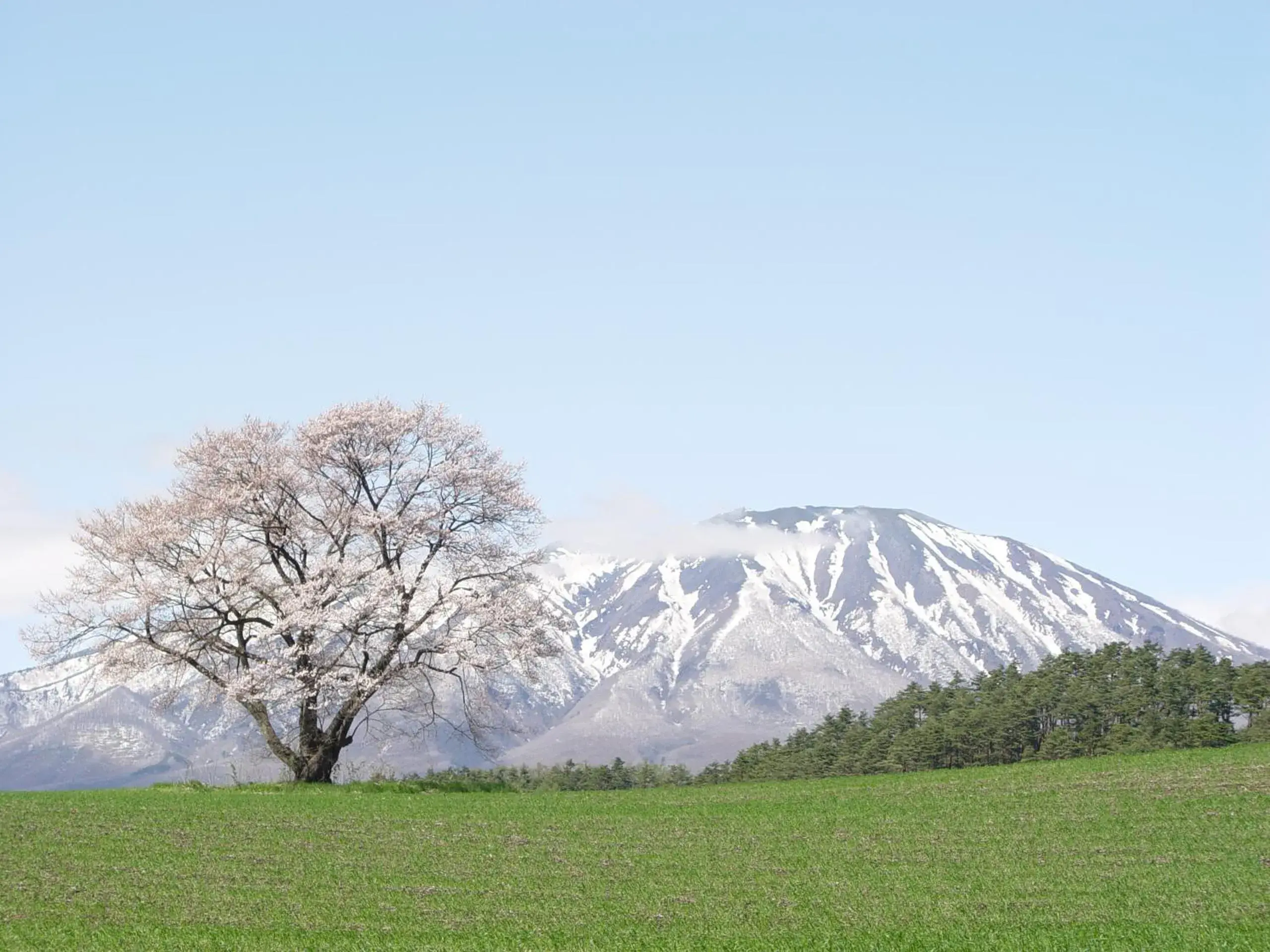 Nearby landmark in Shizukuishi Prince Hotel