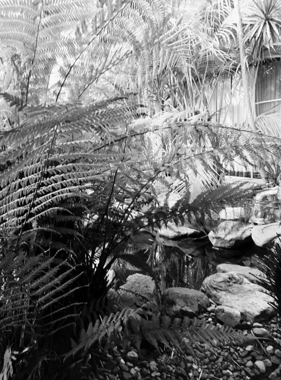 Garden in Fairway Motor Inn