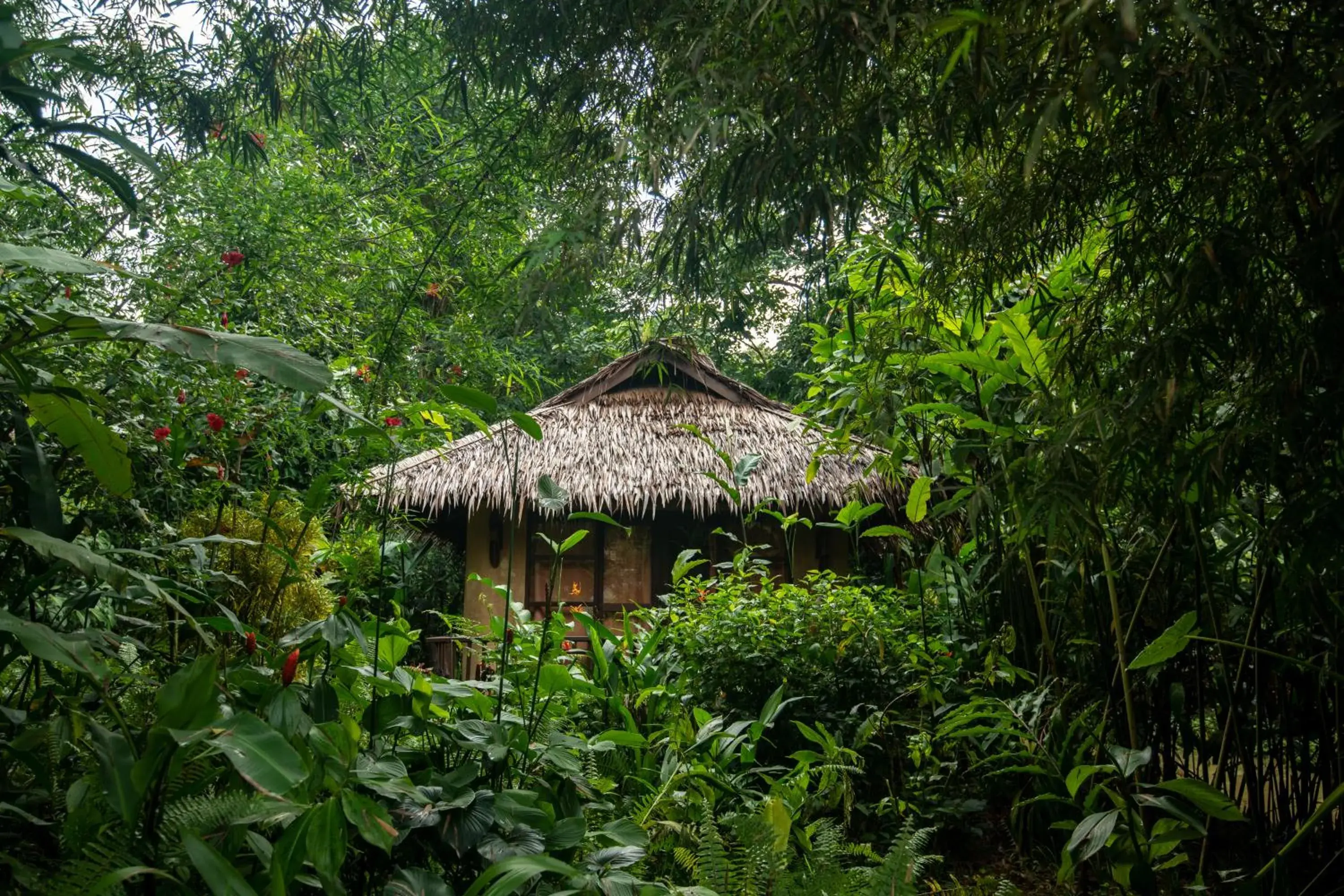 Garden in Our Jungle Camp - Eco Resort SHA Certified