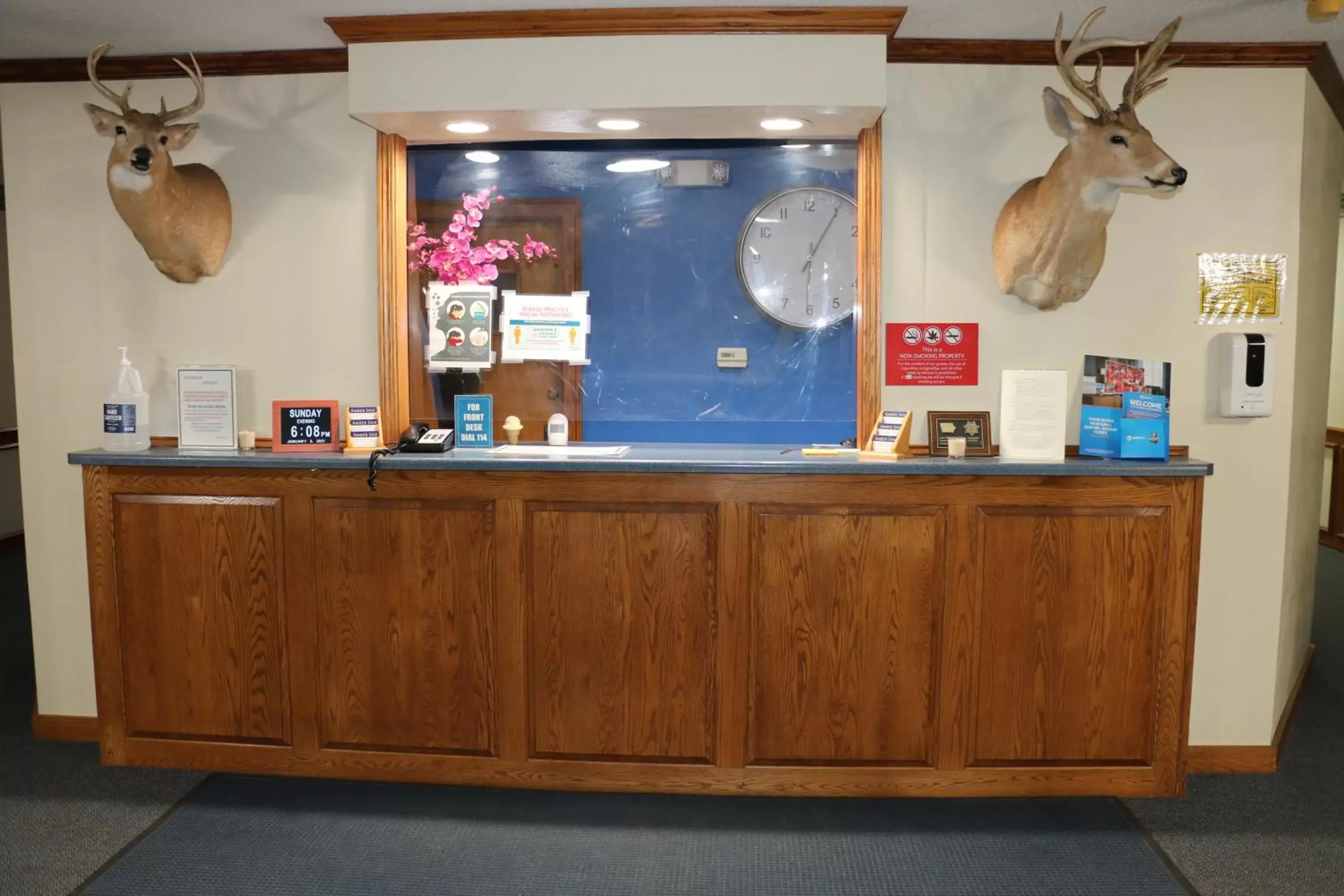 Lobby or reception, Lobby/Reception in Amber Inn