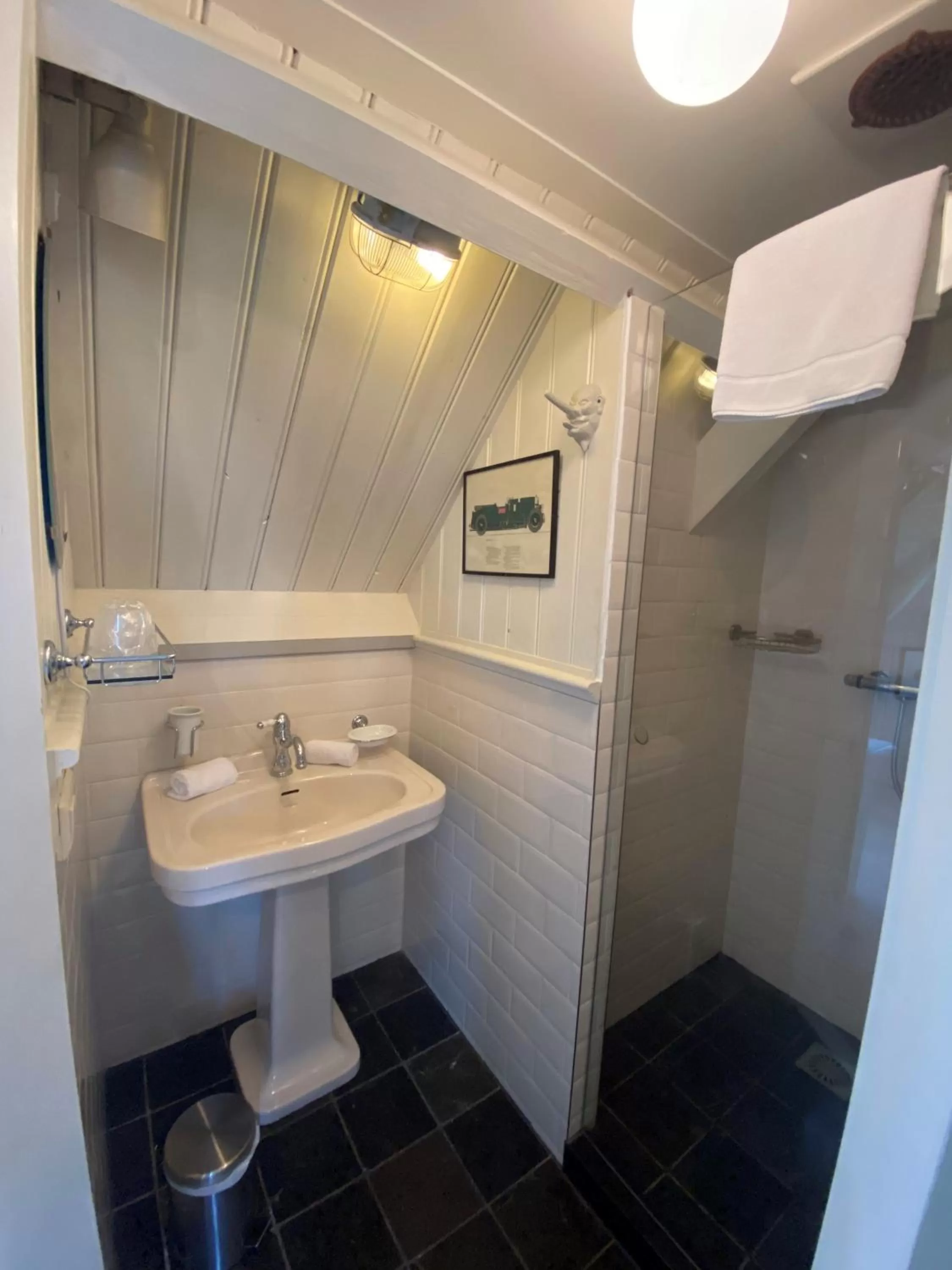 Bathroom in Logement aan de Vecht