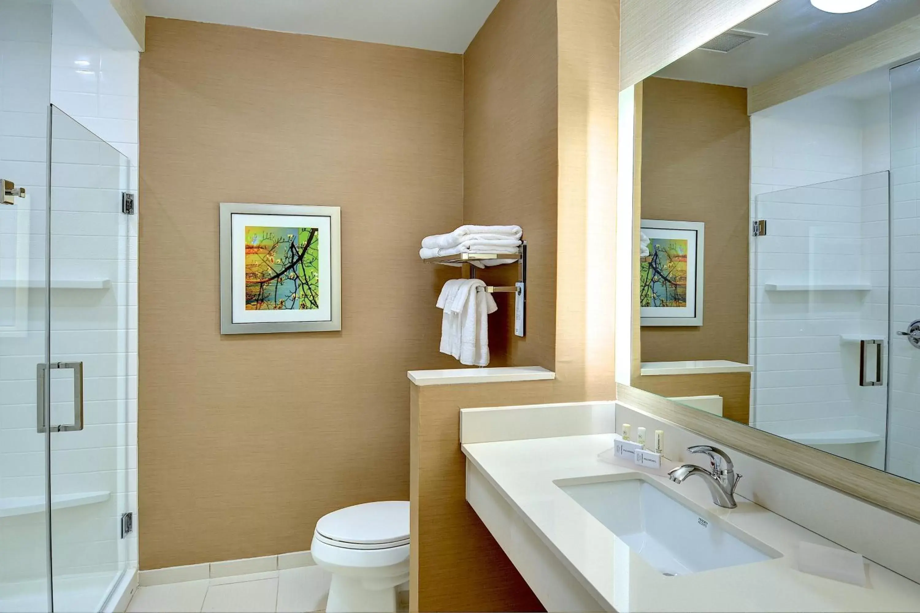 Bathroom in Fairfield Inn & Suites by Marriott Nashville Downtown-MetroCenter