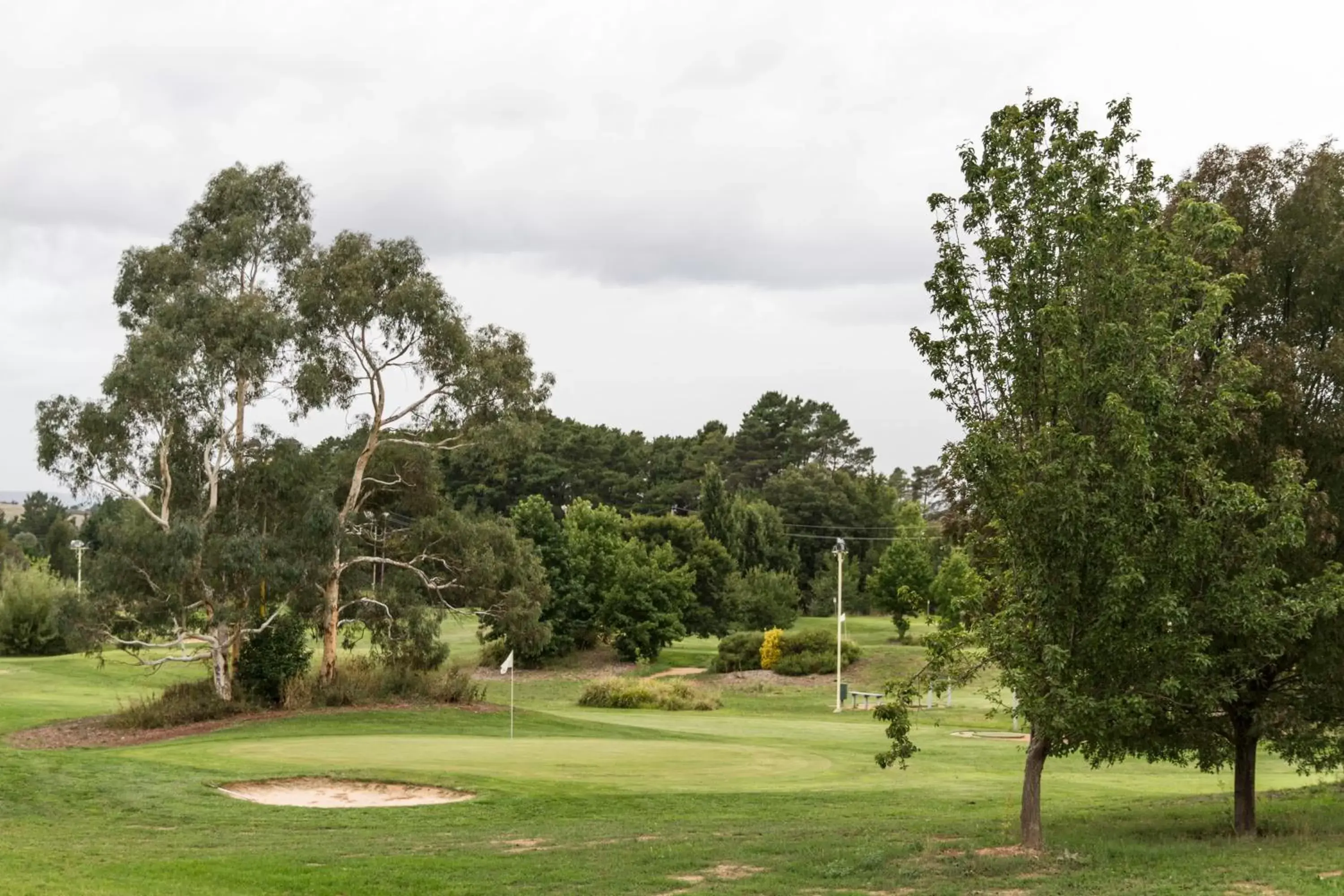 Garden, Golf in Abode Narrabundah