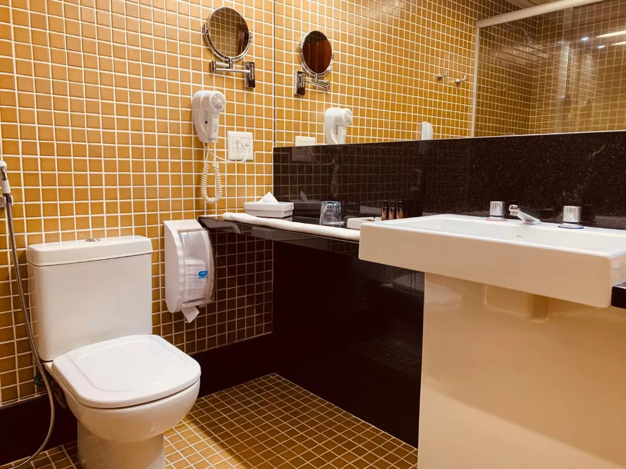 Toilet, Bathroom in Ouro Minas Hotel Belo Horizonte, Dolce by Wyndham