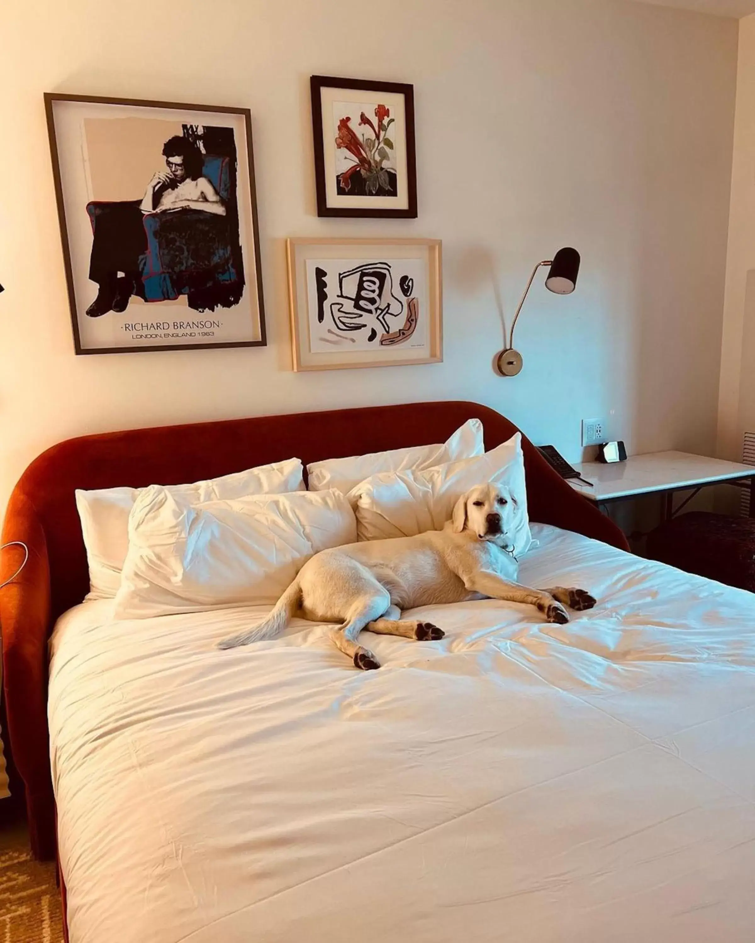 Pets, Bed in Virgin Hotels New Orleans