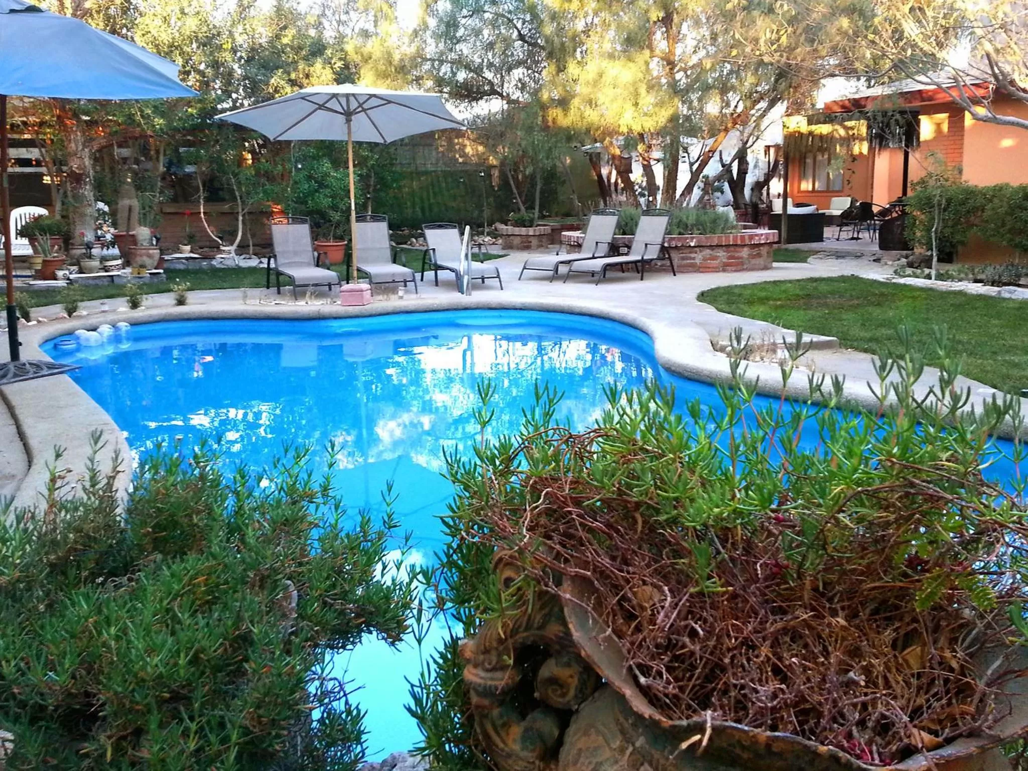 Spring in Atankalama