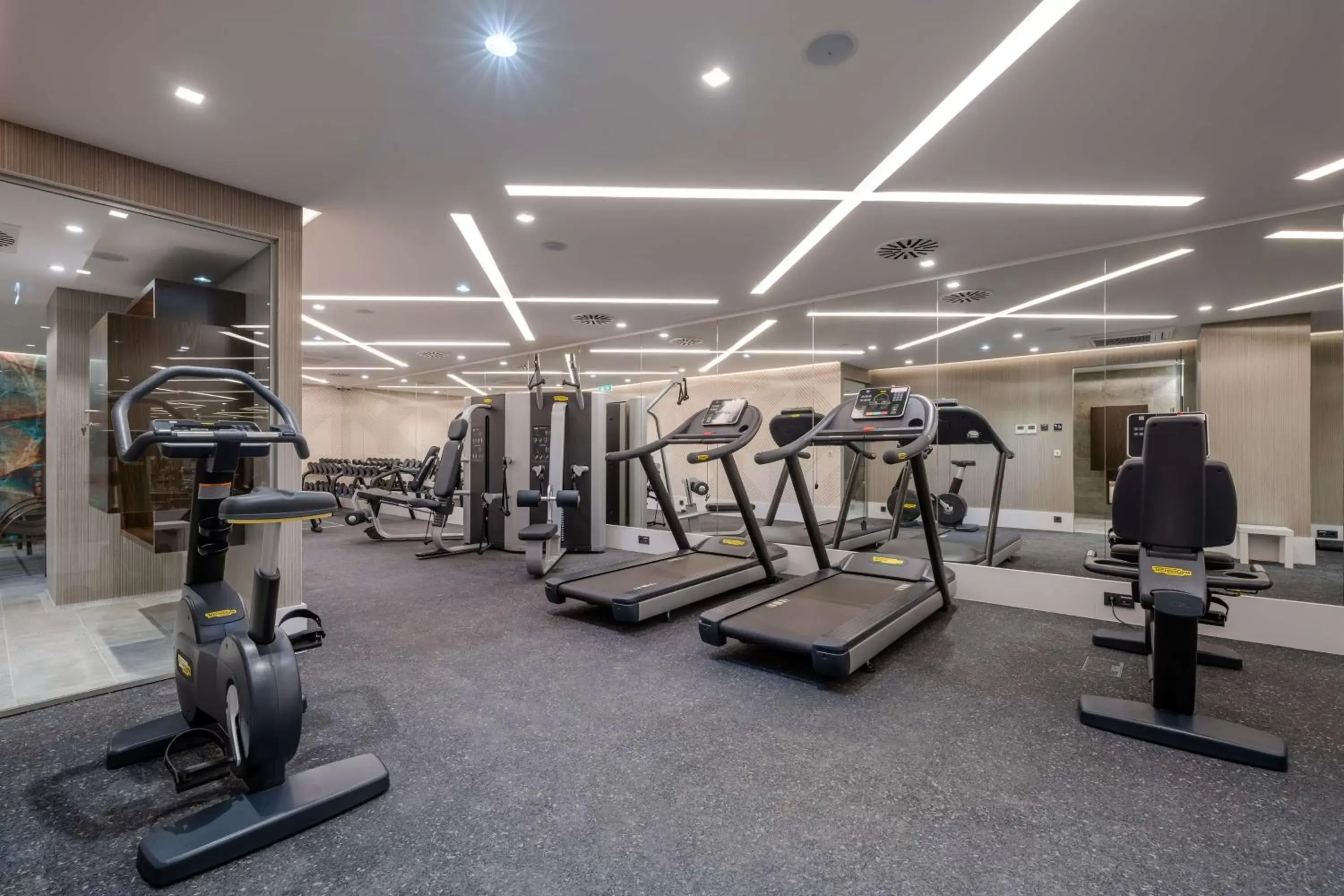 Spa and wellness centre/facilities, Fitness Center/Facilities in Radisson Blu Béke Hotel, Budapest