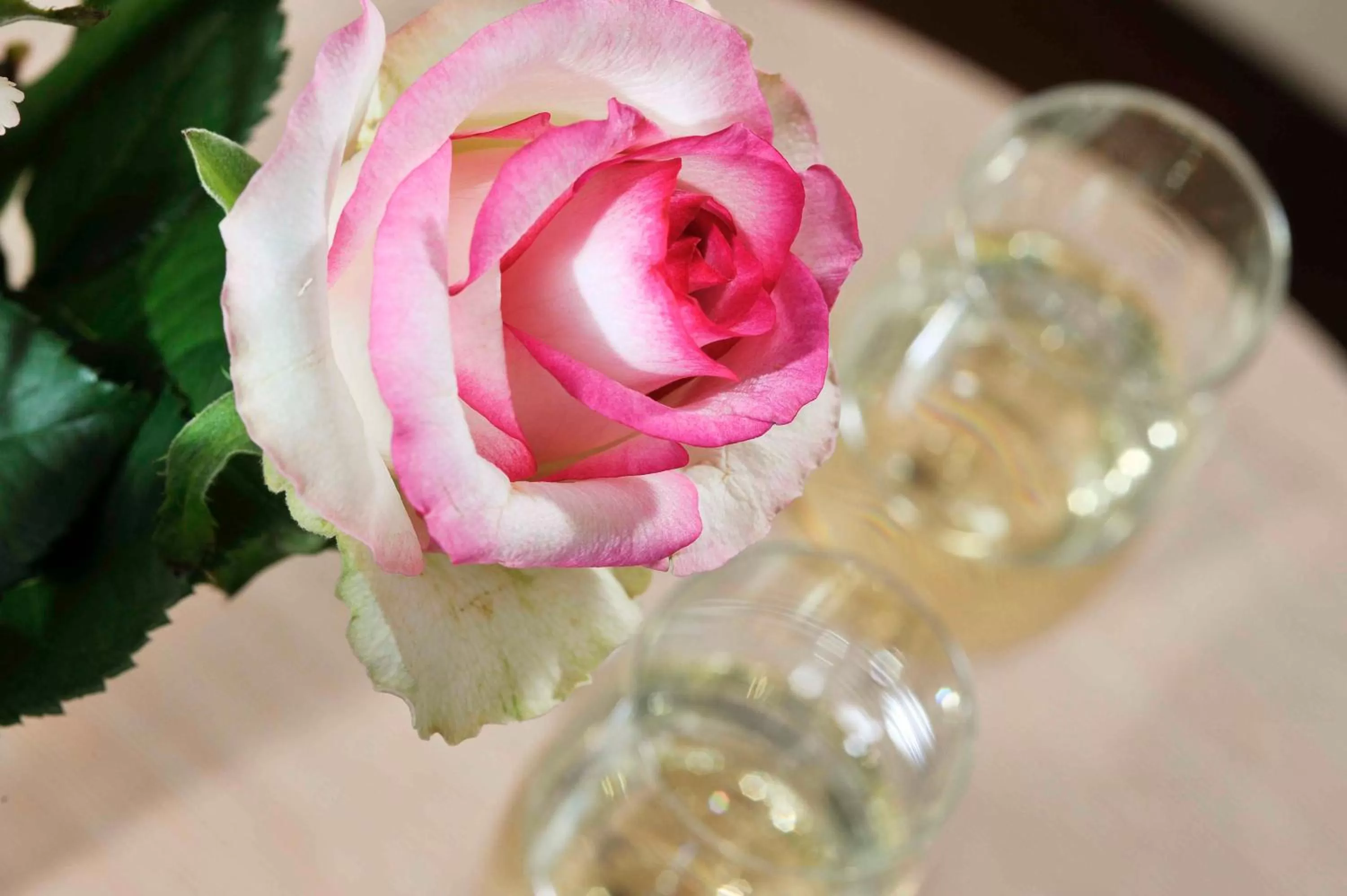 Other in Seeschloss Sellin