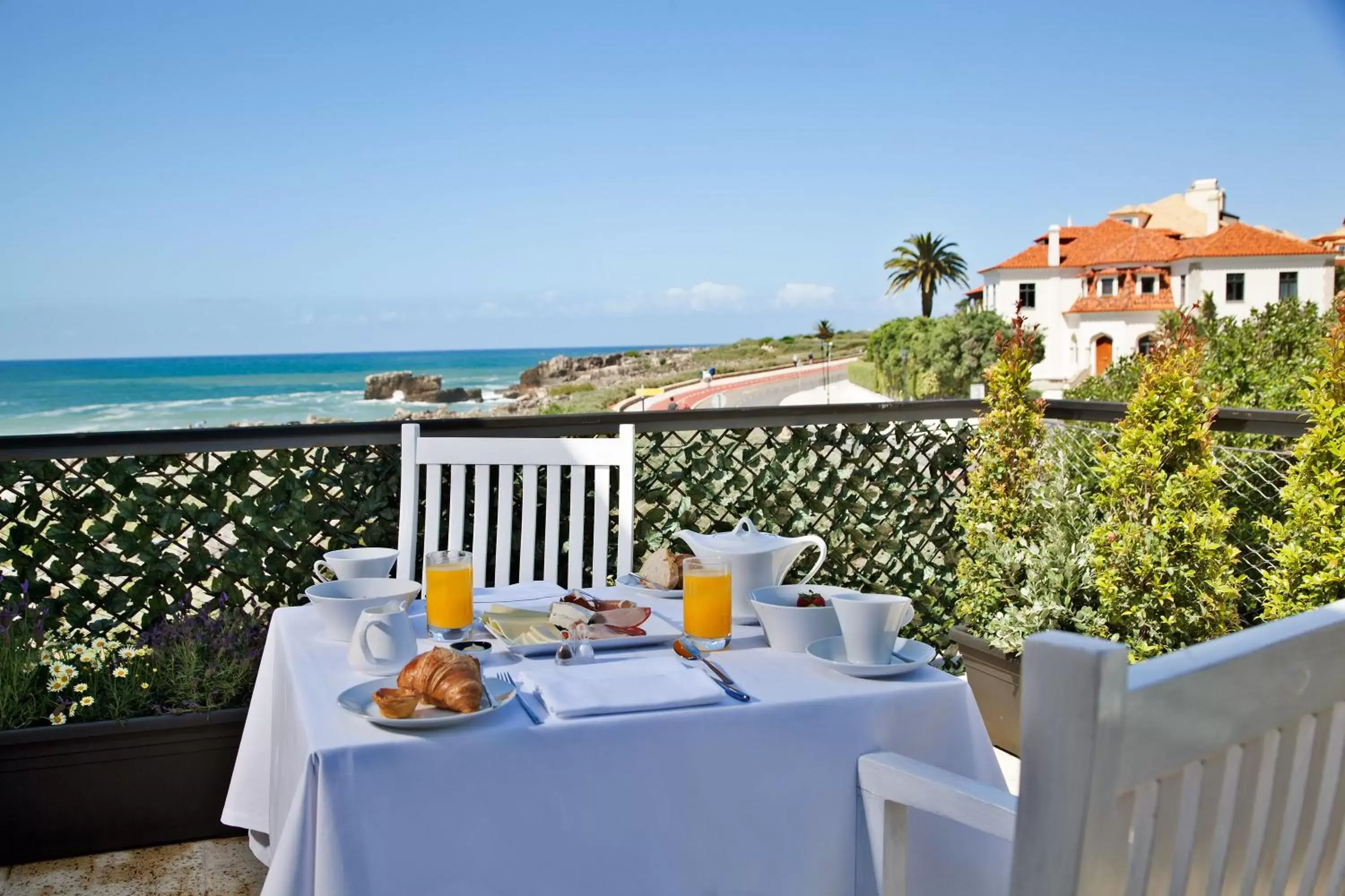 Garden in Farol Hotel