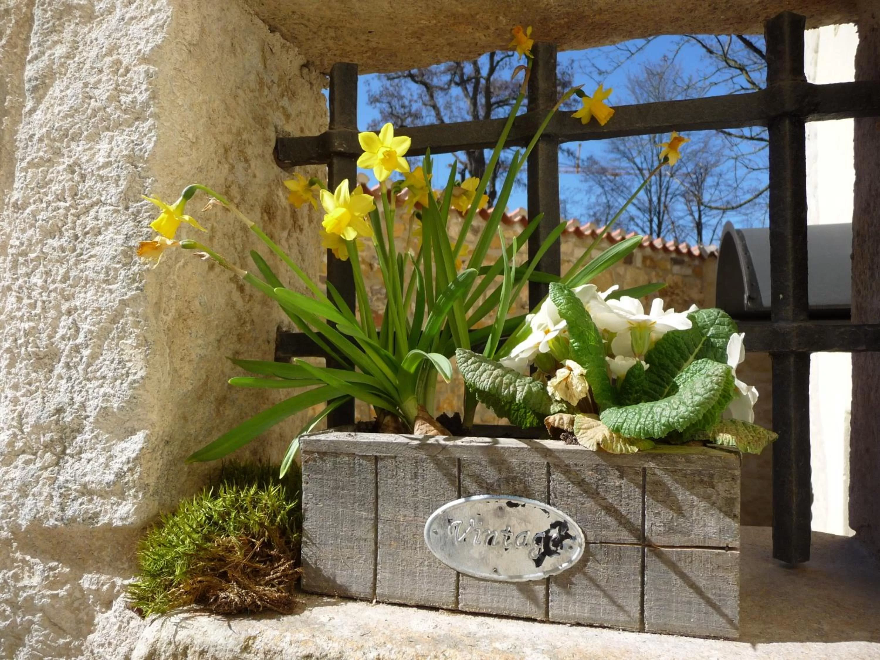 Decorative detail in Knast-Hotel Fronfeste