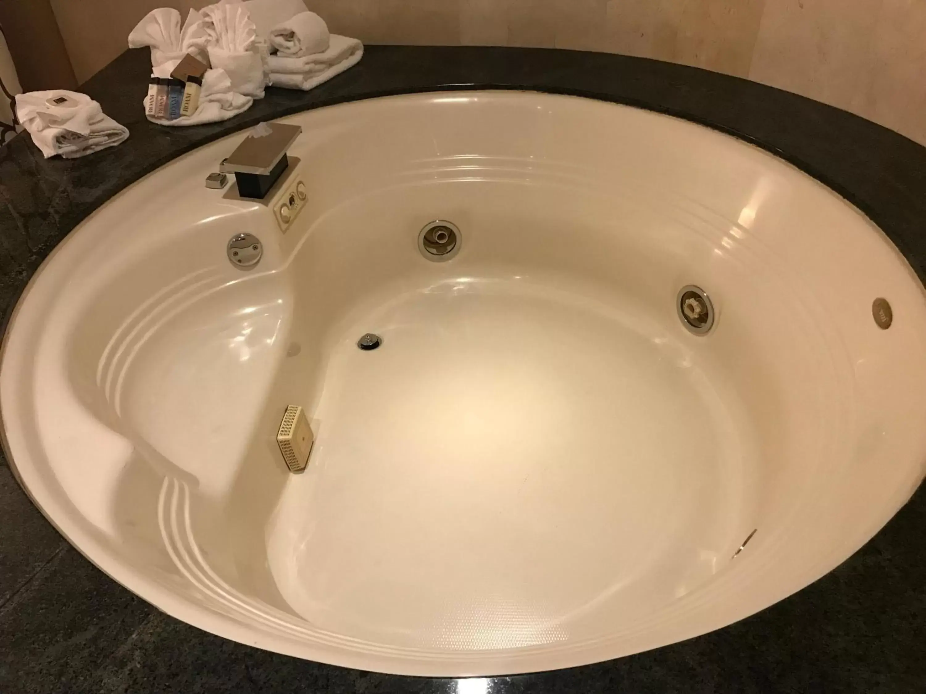 Hot Tub, Bathroom in Hollywood Hotel - The Hotel of Hollywood Near Universal Studios