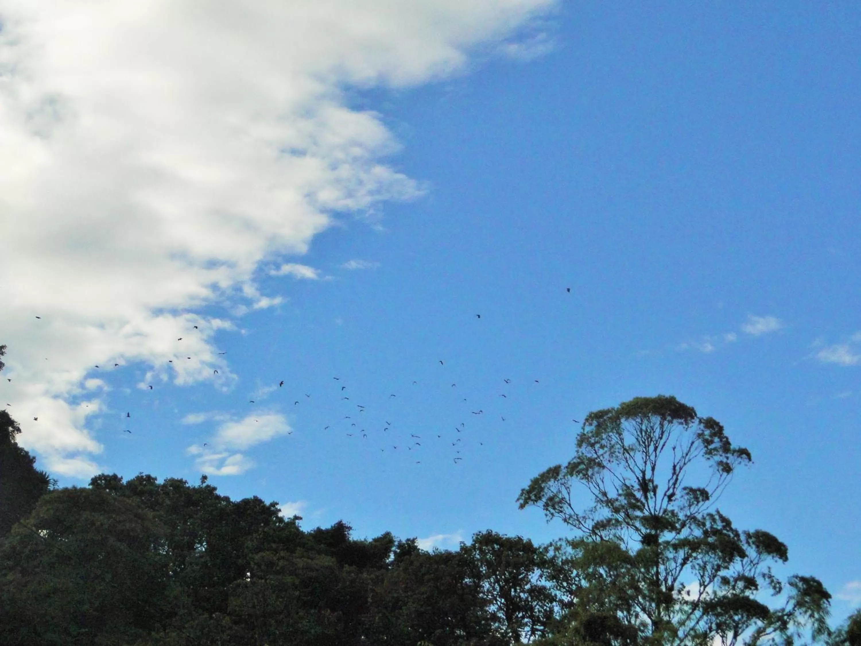 Natural Landscape in Hosteria Florecer