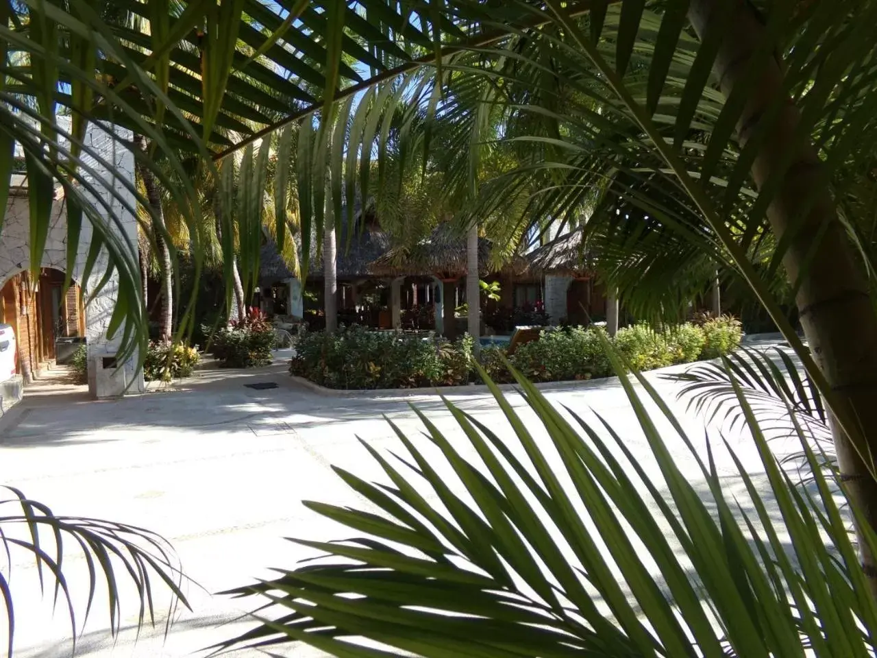 Swimming Pool in Hotel Casa de Lirio Diamante