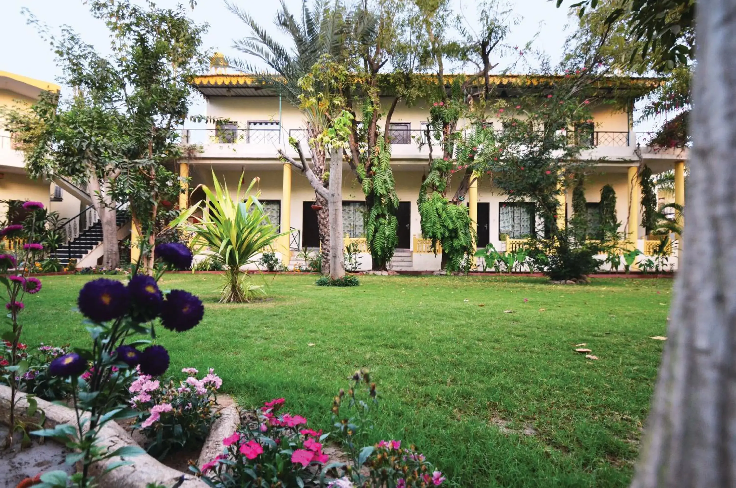 Garden view in Raj Palace Resort Garden view in Raj Palace Resort