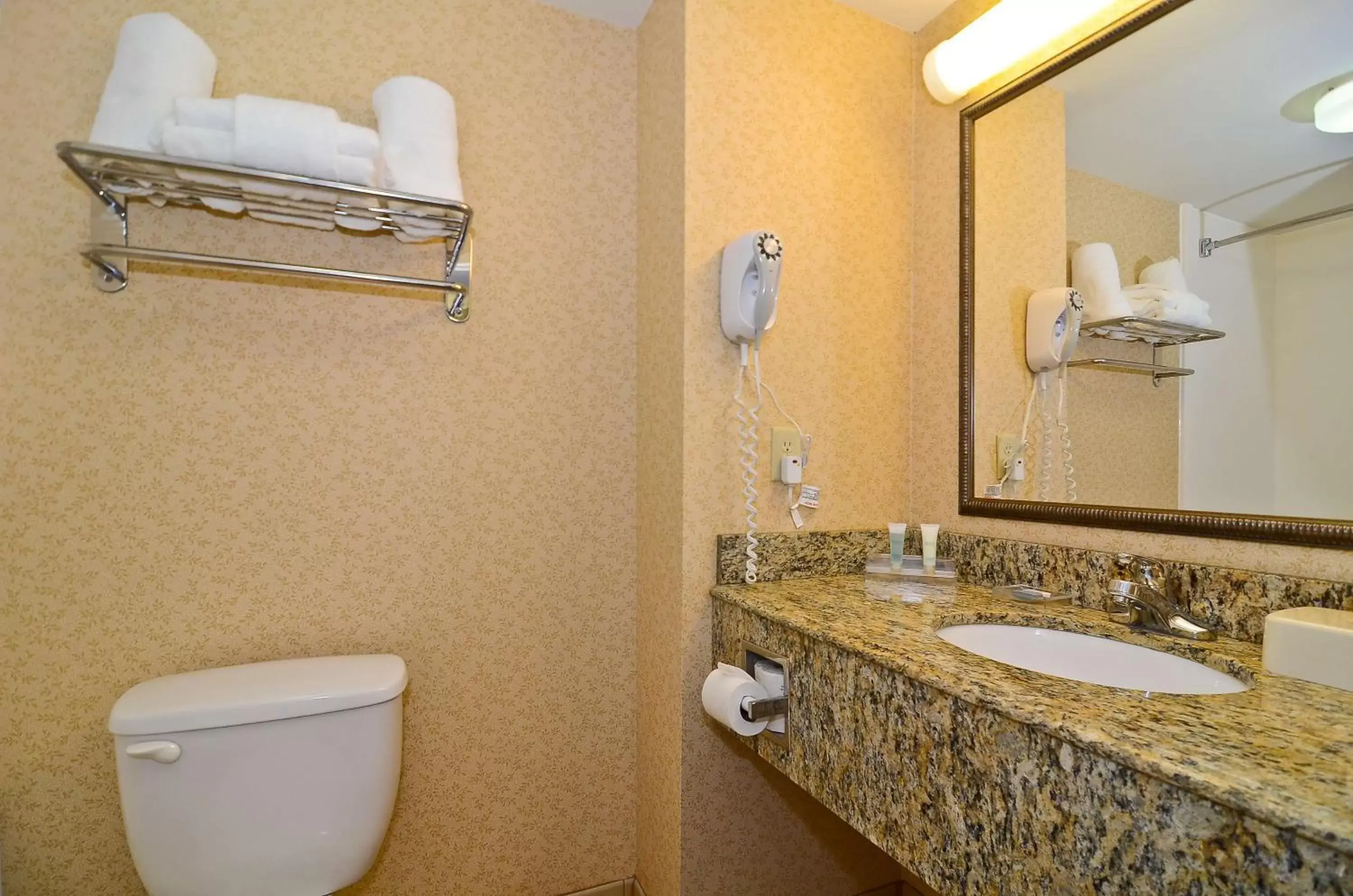 Bathroom in Best Western Executive Inn & Suites