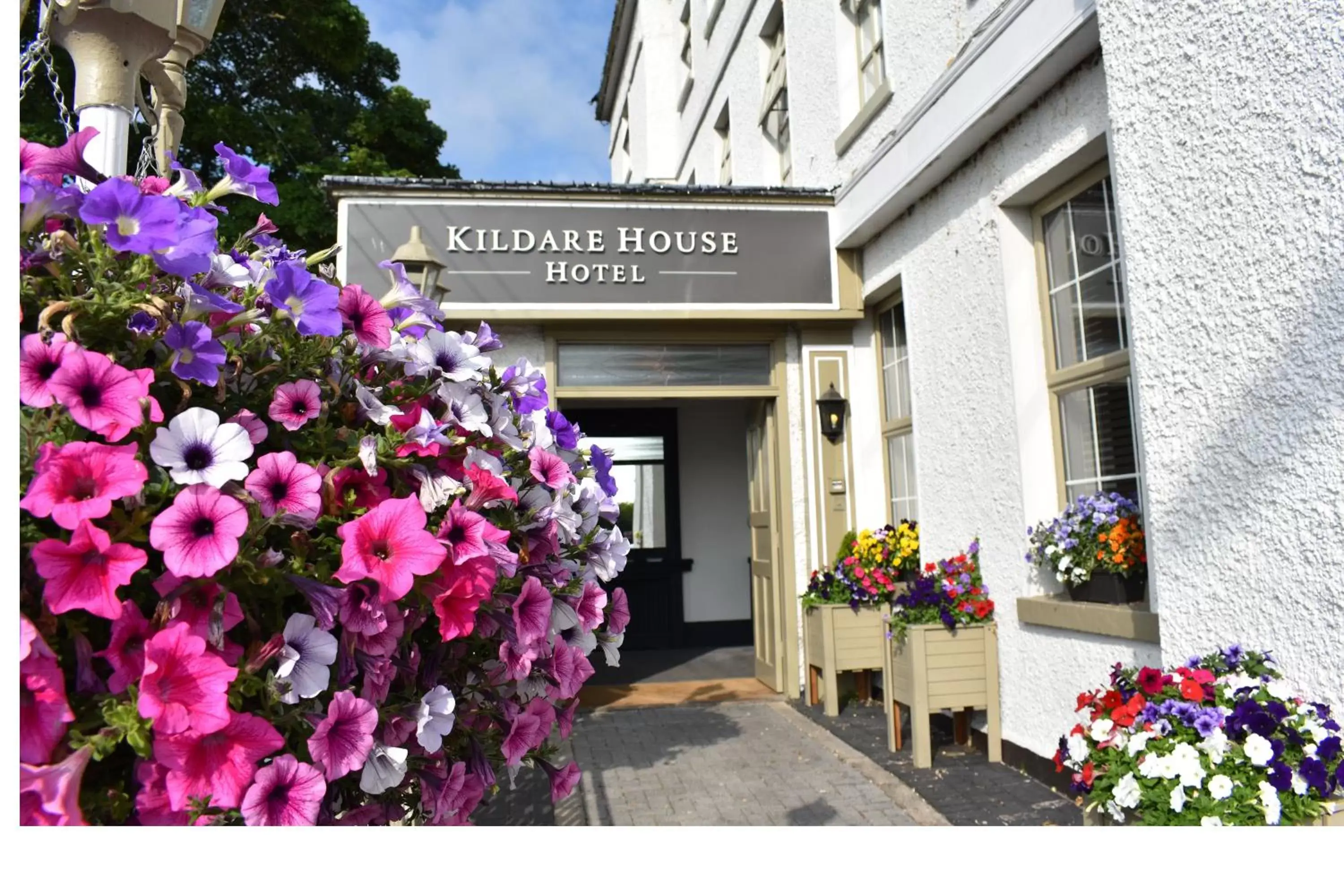 Facade/entrance in Kildare House Hotel