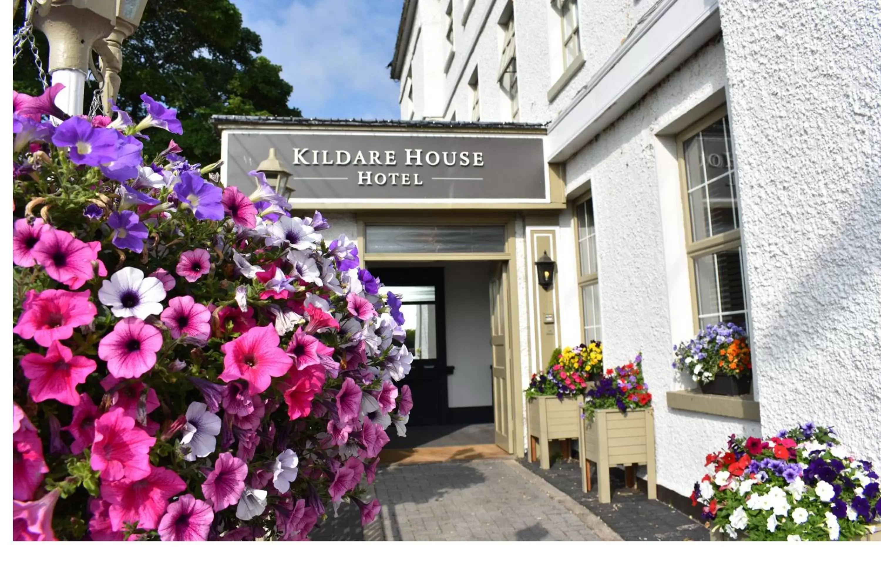 Facade/entrance in Kildare House Hotel Facade/entrance in Kildare House Hotel