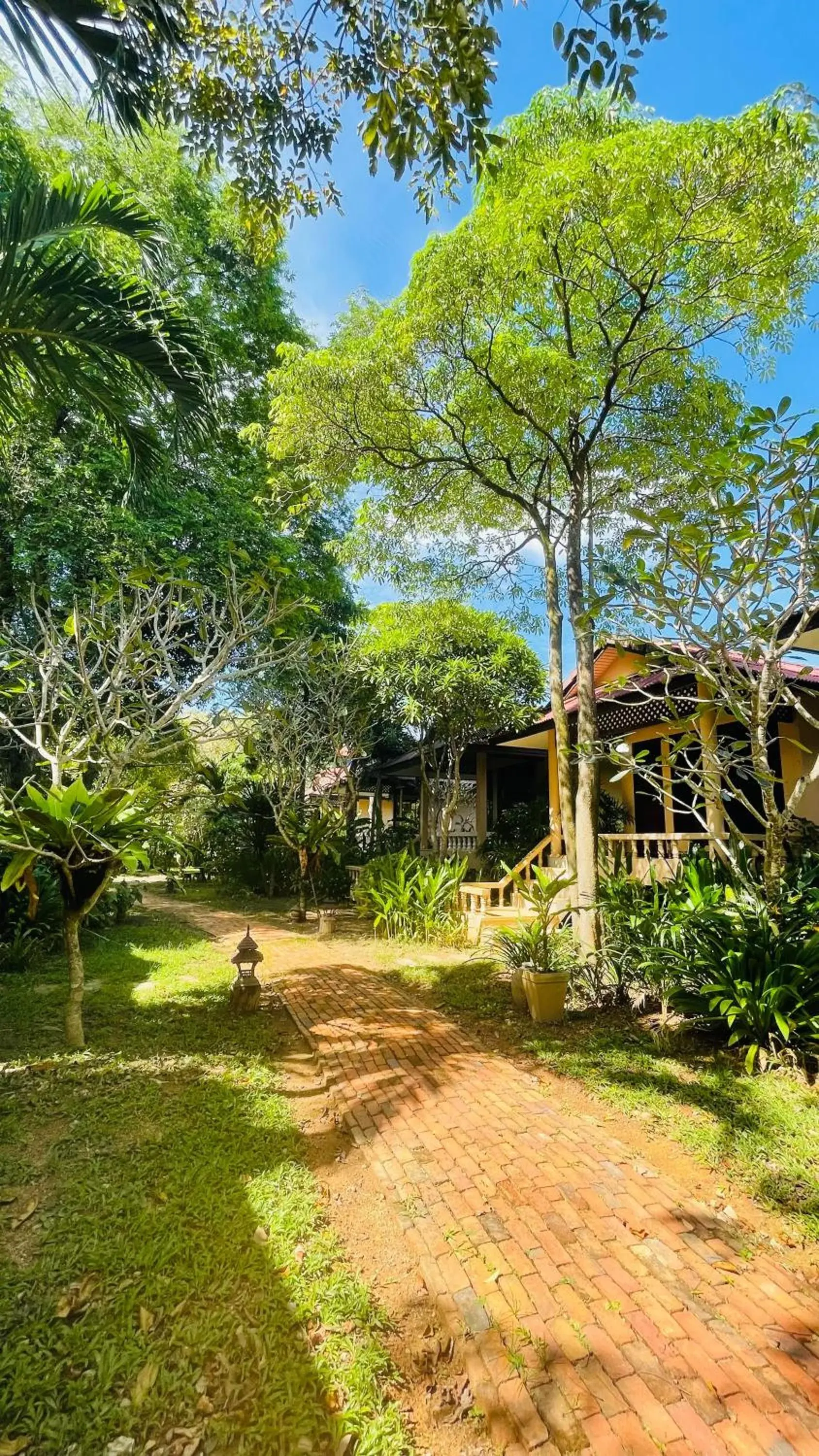 Garden in Clean Beach Resort