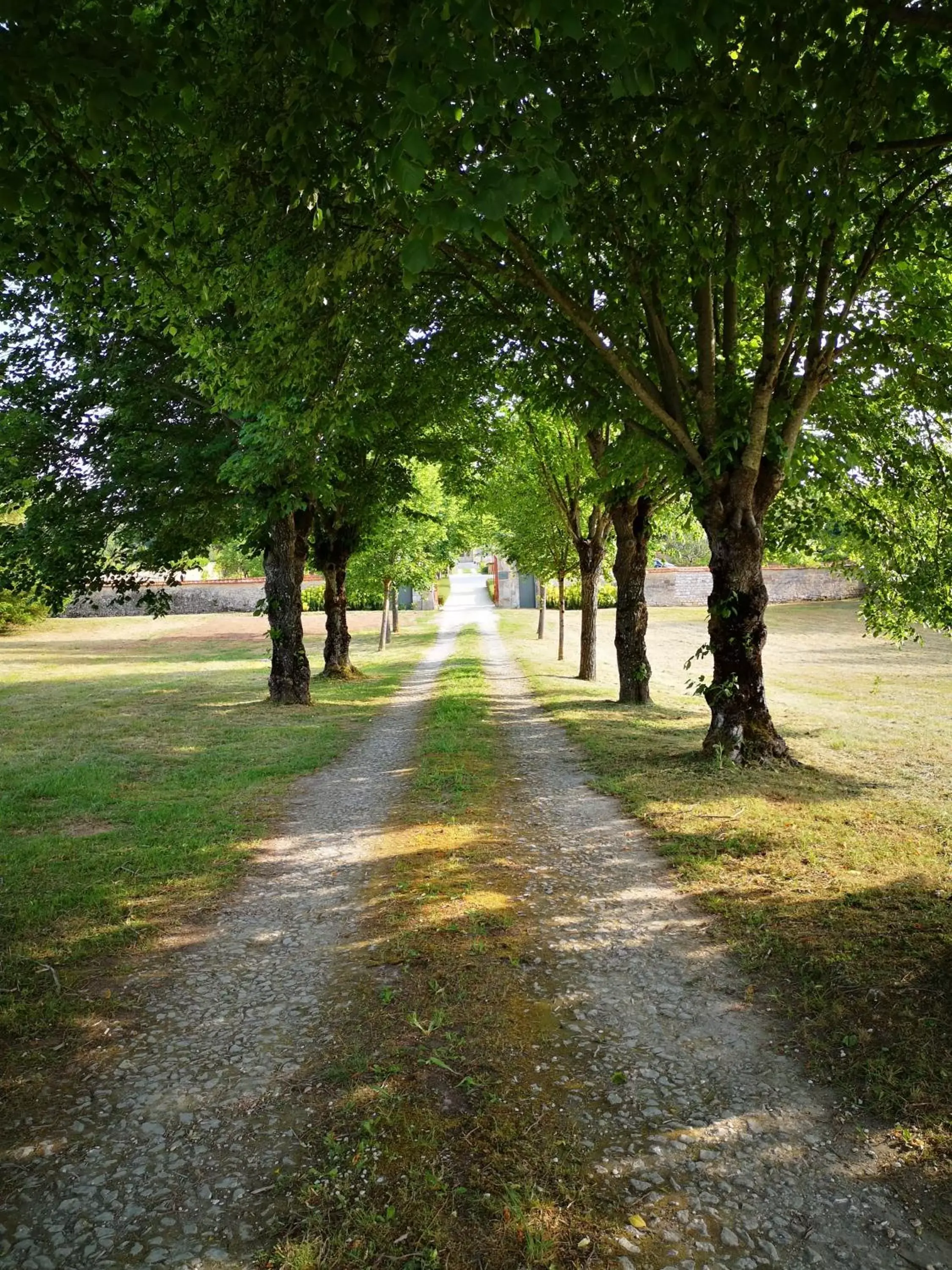 Natural landscape, Garden in La Burie