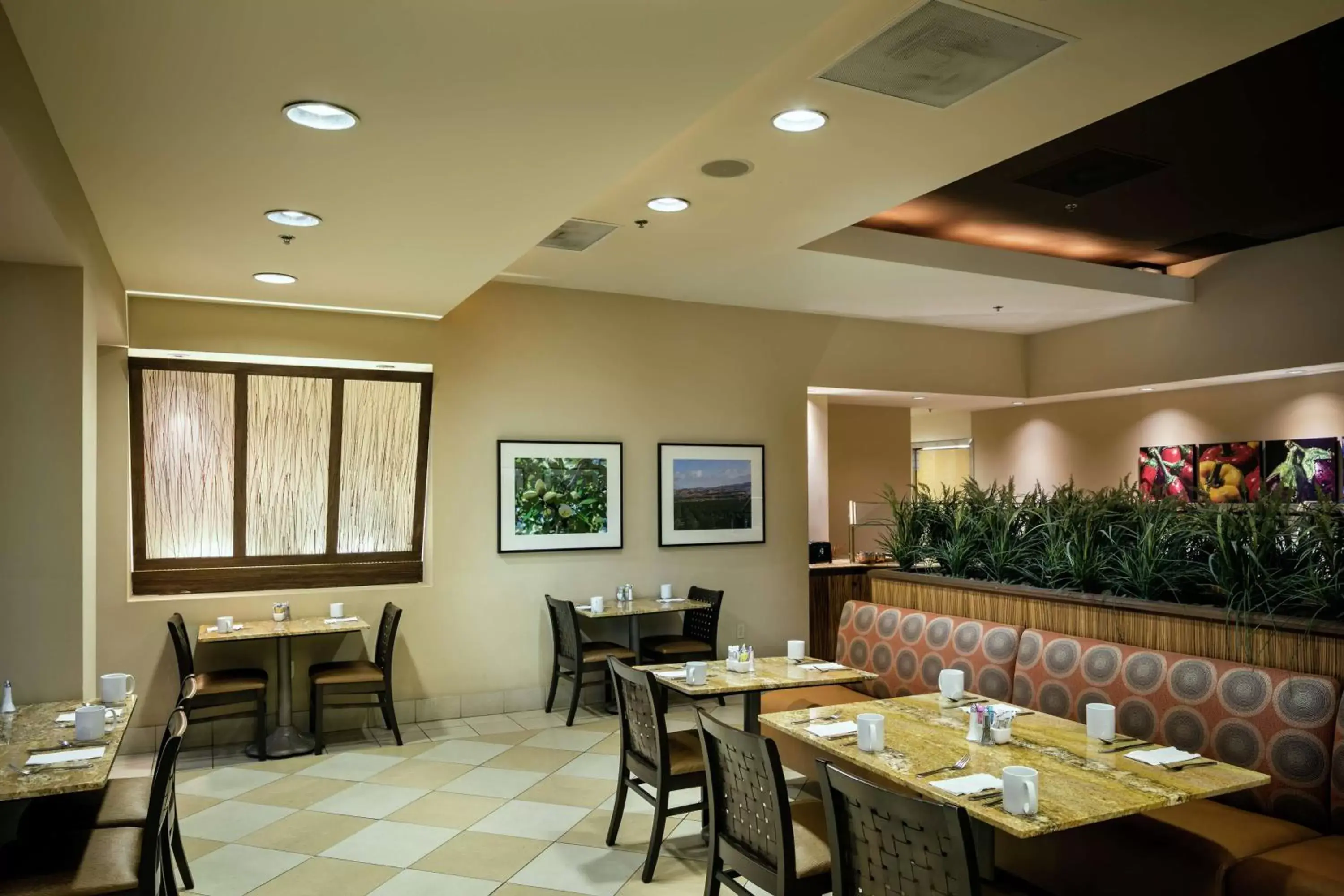 Dining area, Restaurant/Places to Eat in Hilton Stockton