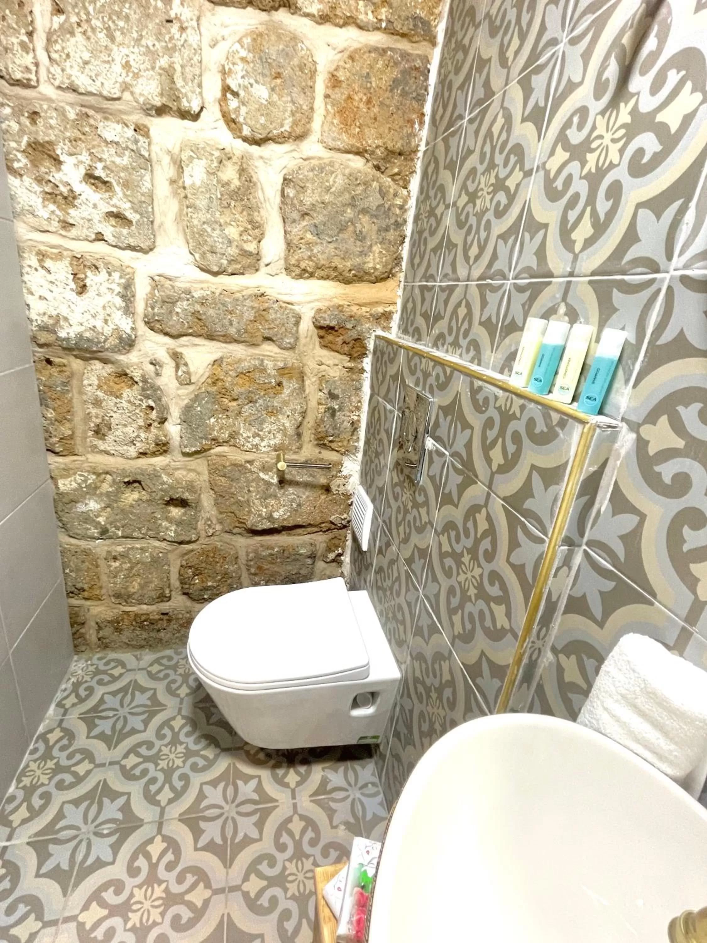 Bathroom in Hebi house