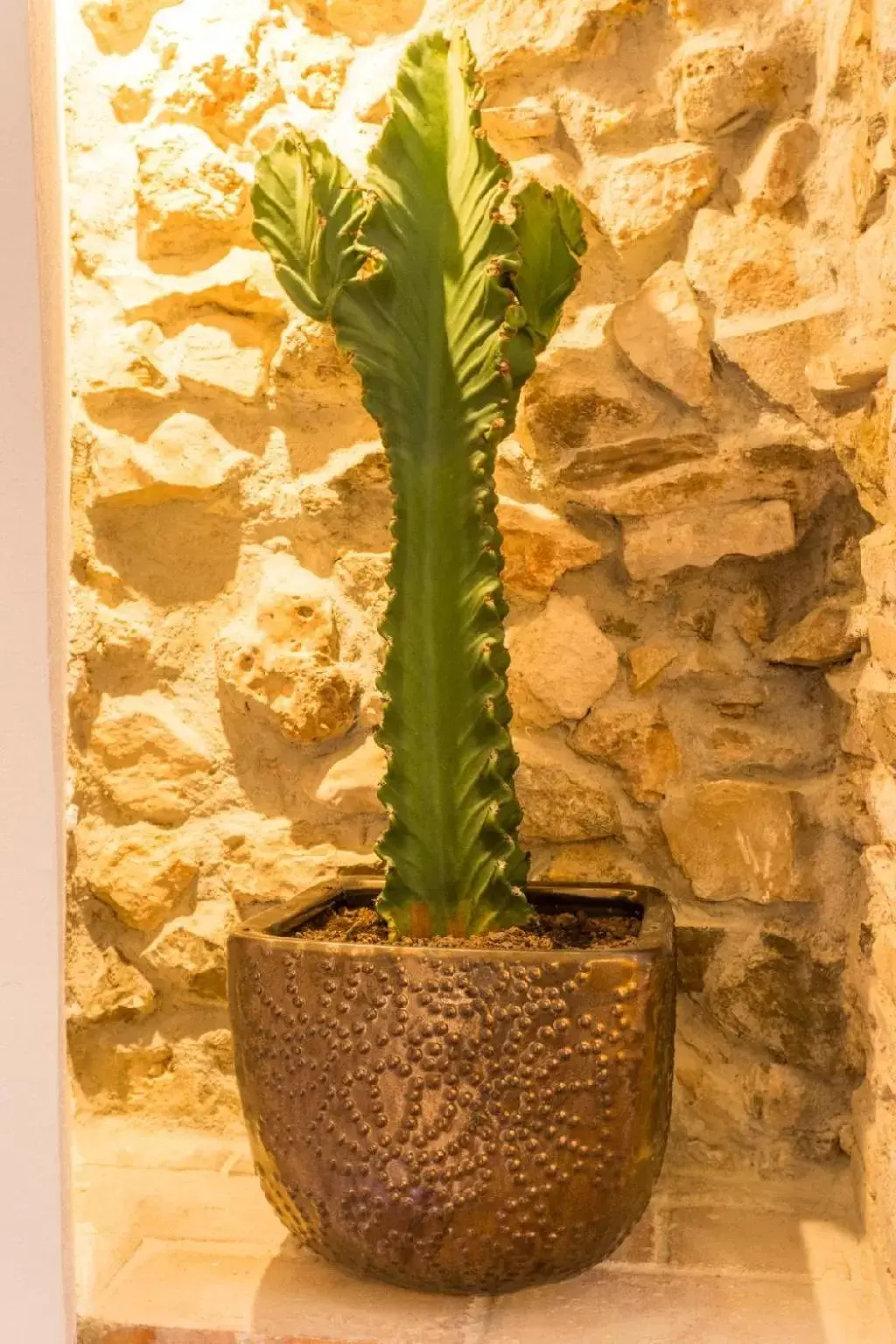 Decorative detail in Blancos Rooms Hotel